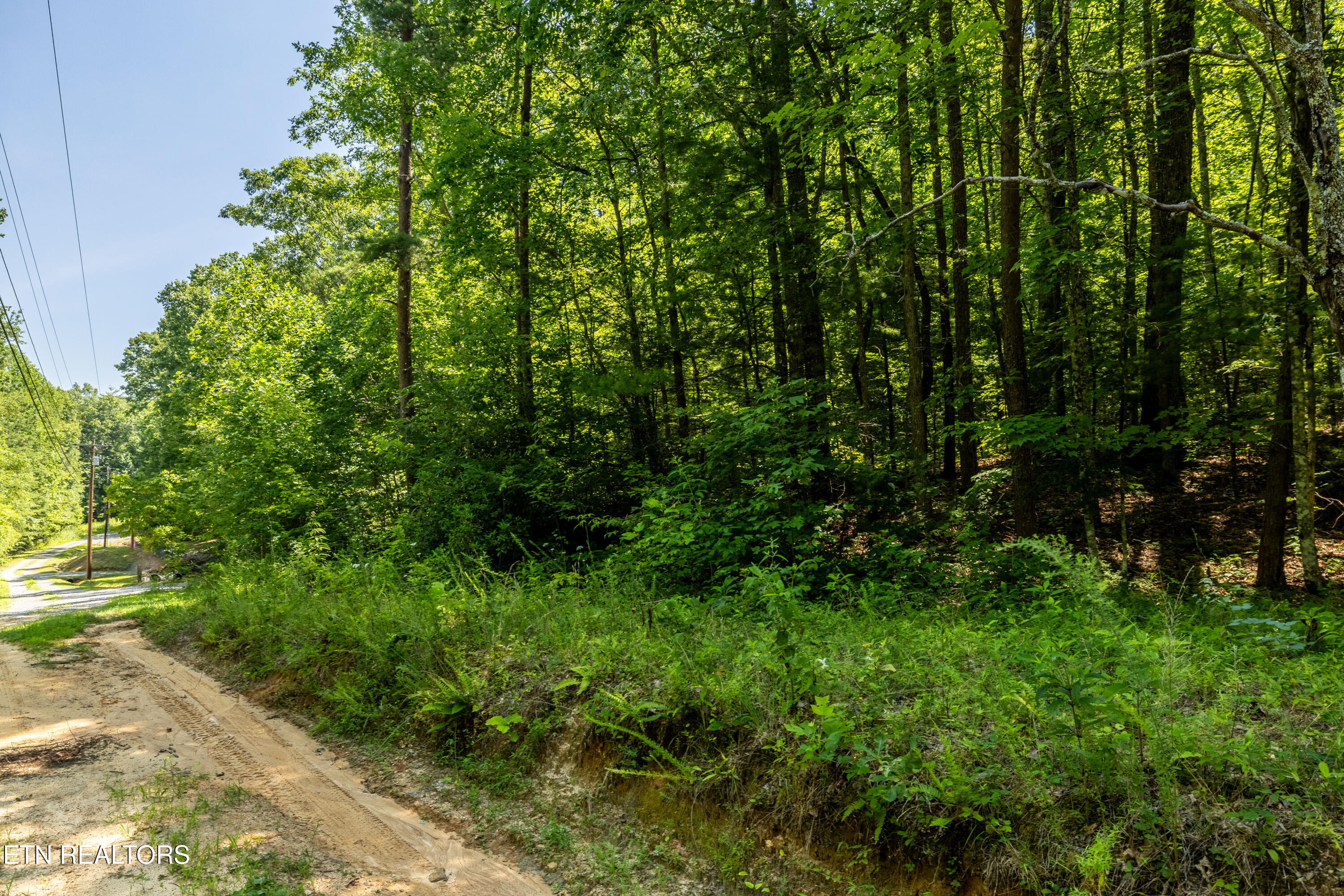 Lots 18,19,& 20 Bear Road Tallassee TN 37878
