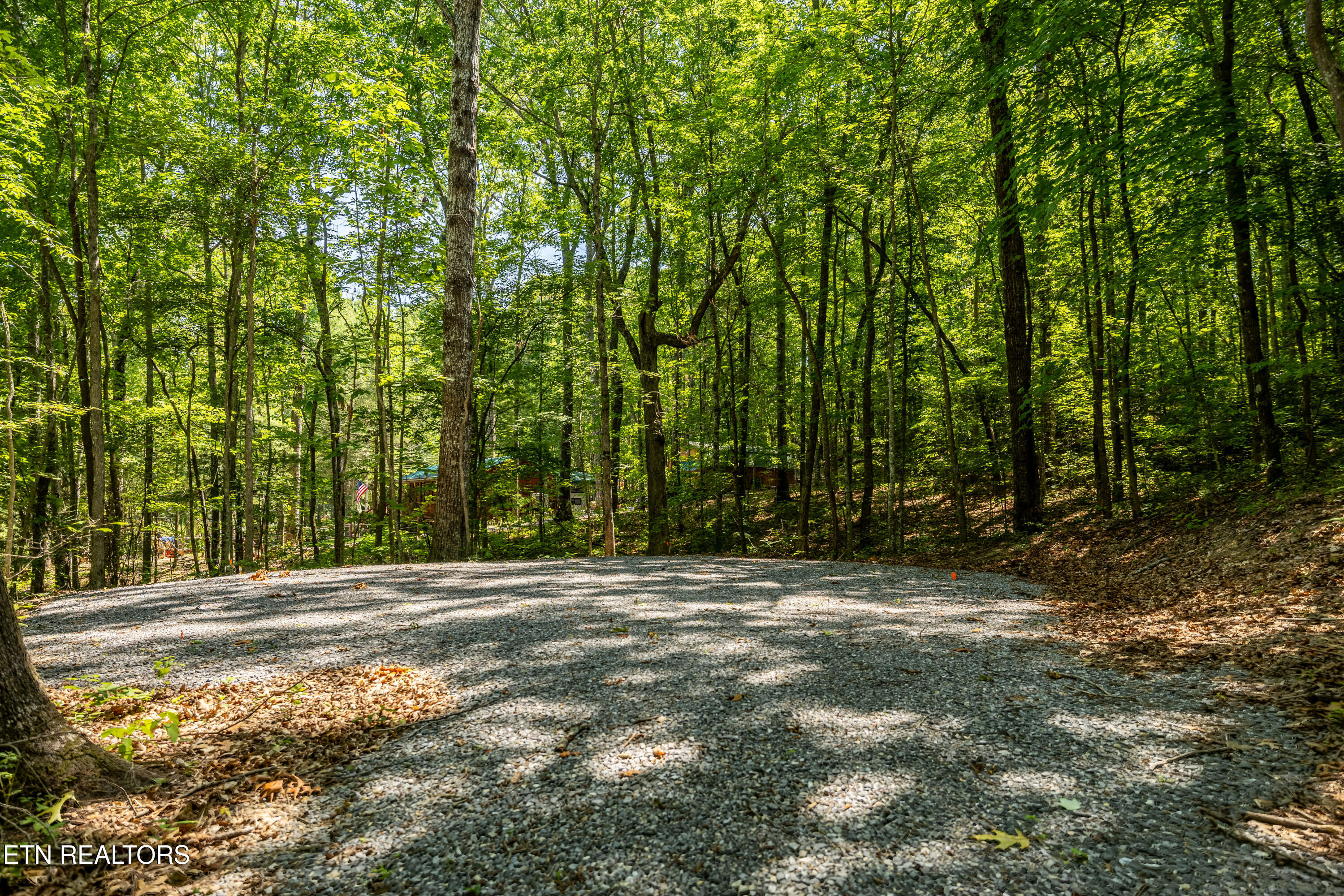 Lots 18,19,& 20 Bear Road Tallassee TN 37878