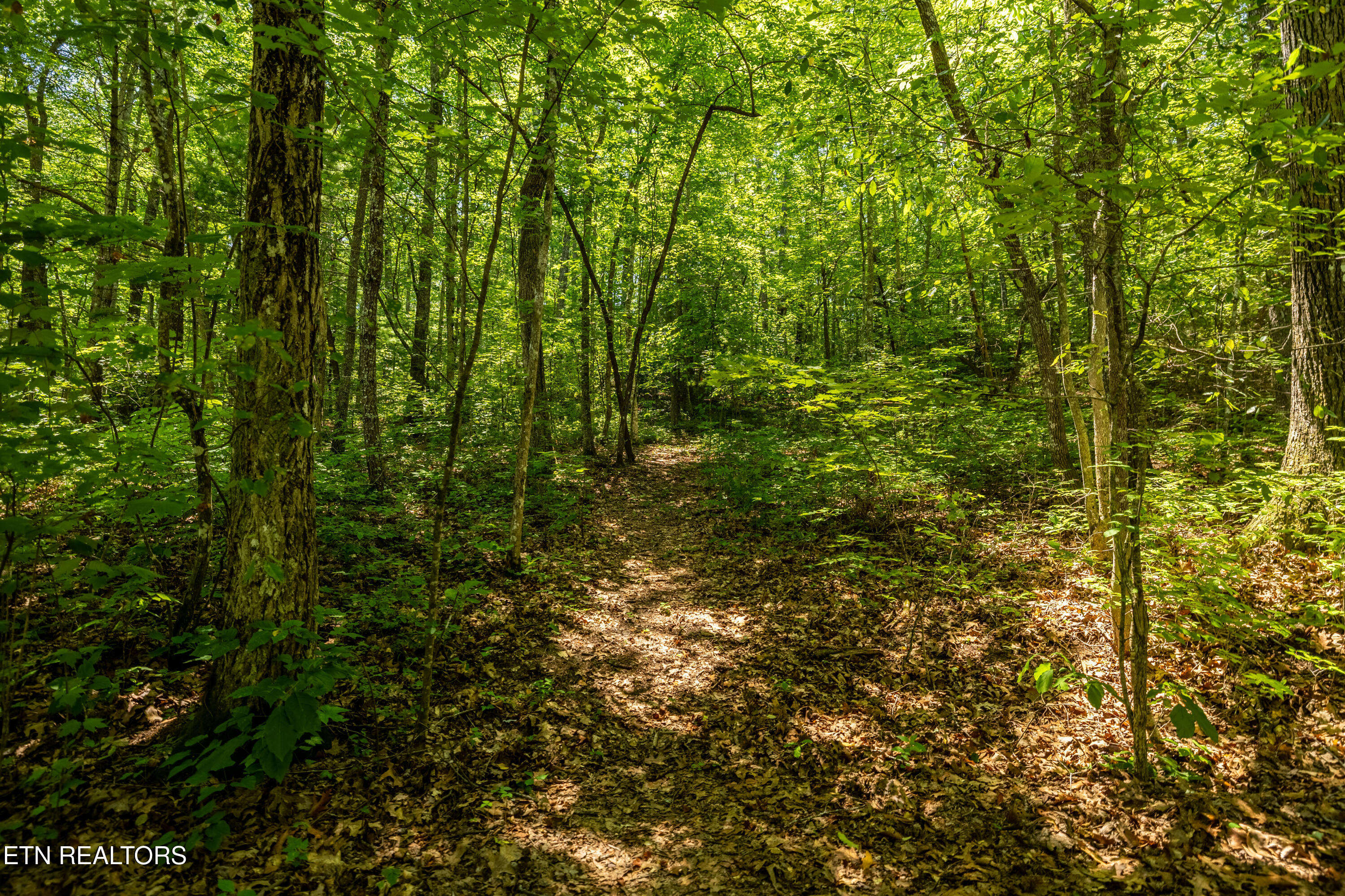 Lots 18,19,& 20 Bear Road Tallassee TN 37878