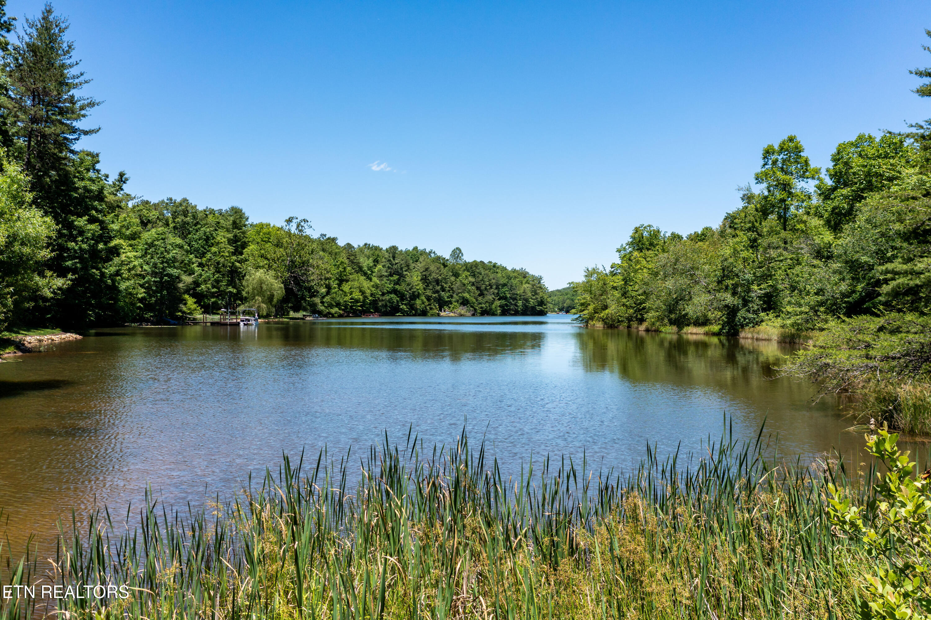 Lots 18,19,& 20 Bear Road Tallassee TN 37878