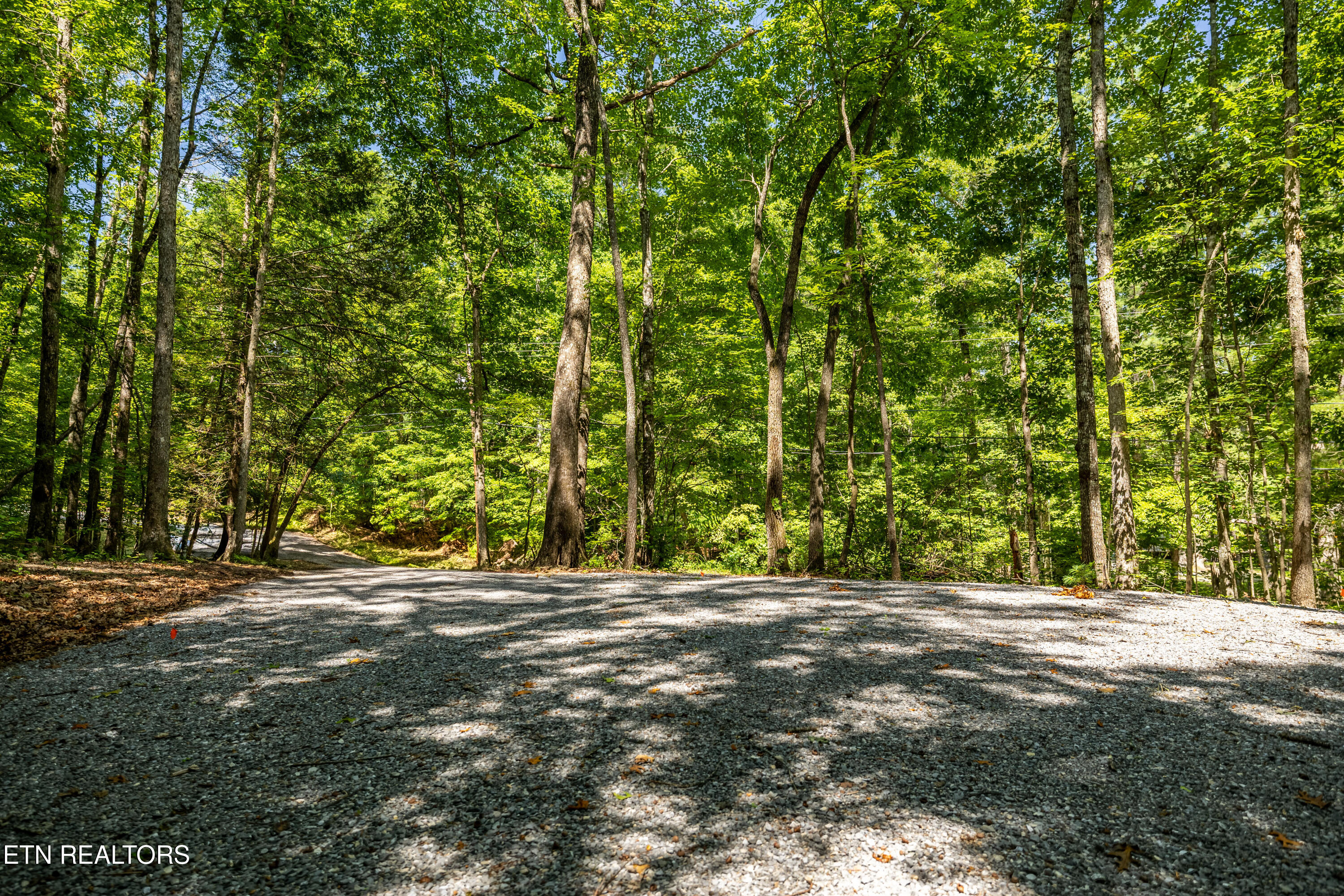 Lots 18,19,& 20 Bear Road Tallassee TN 37878