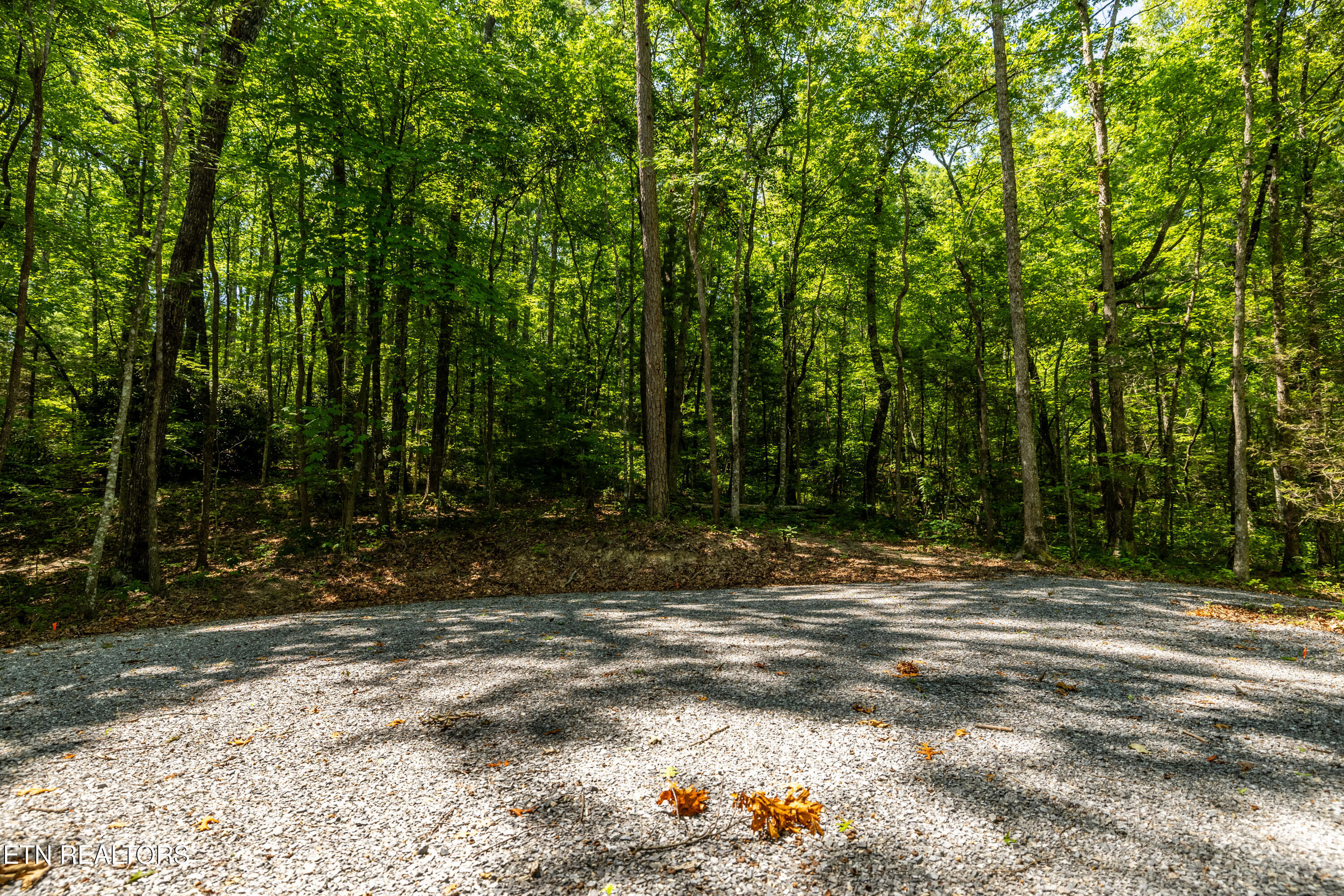 Lots 18,19,& 20 Bear Road Tallassee TN 37878
