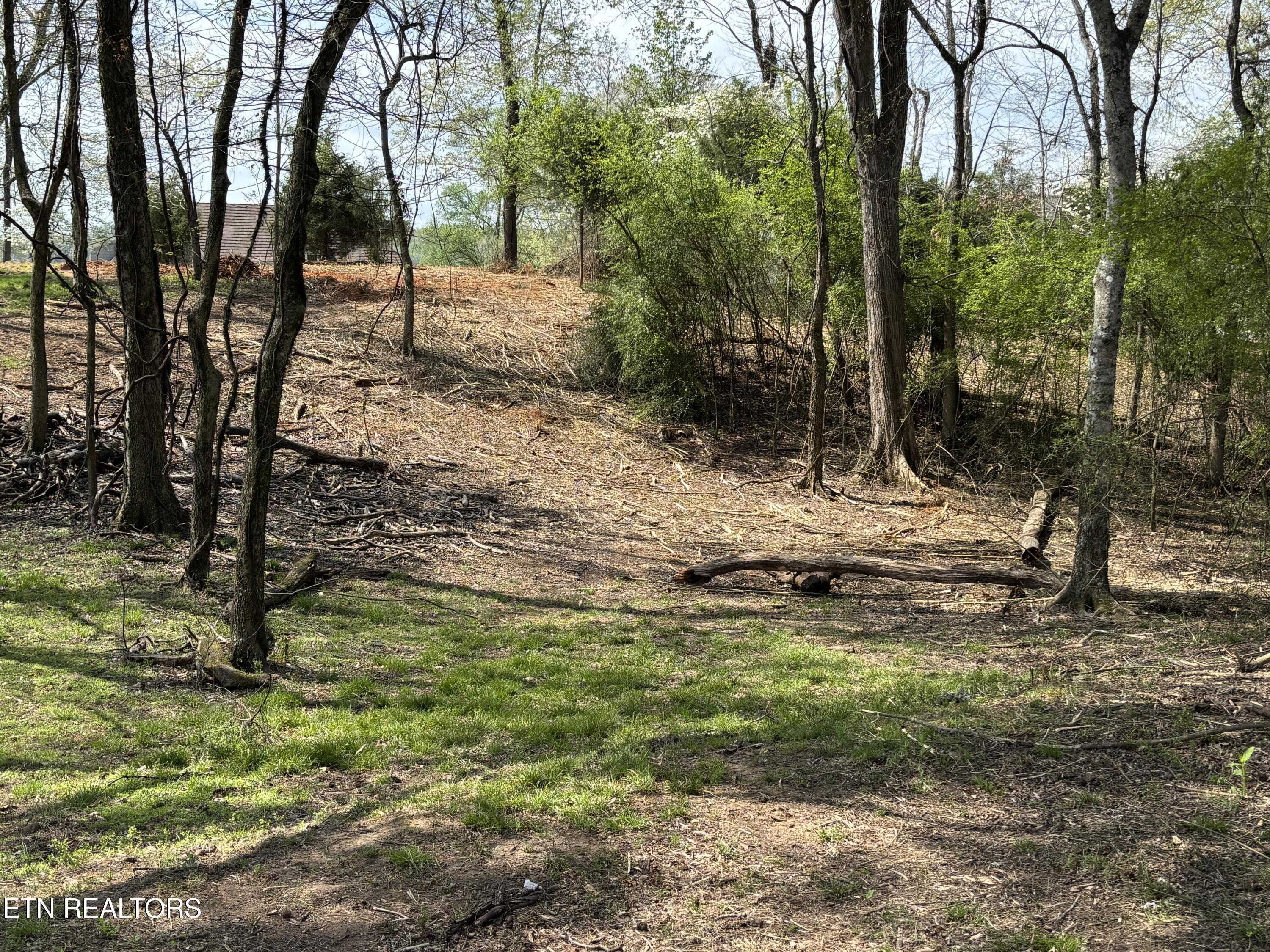 E Shore Drive Rockwood TN 37854