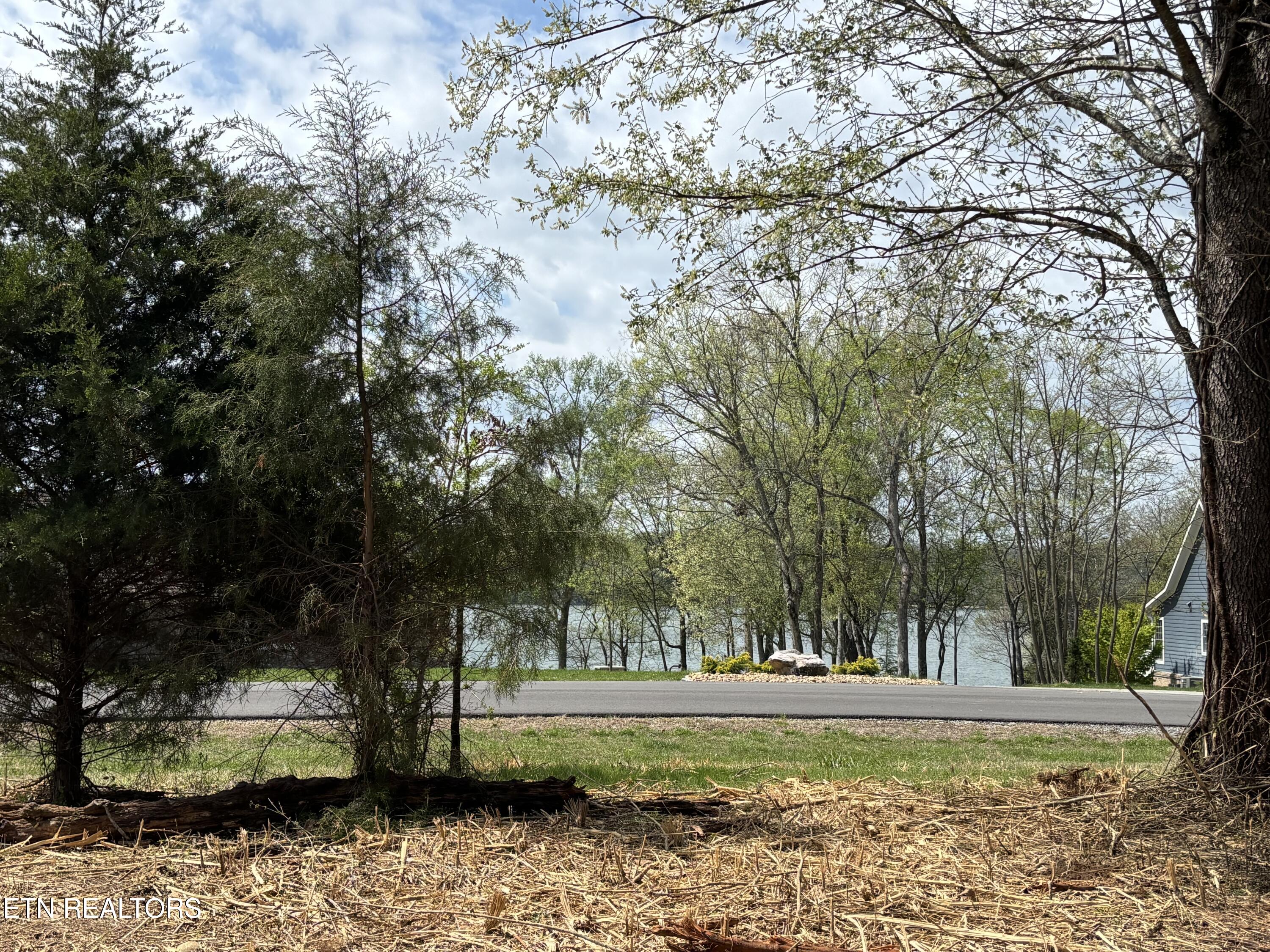 E Shore Drive Rockwood TN 37854