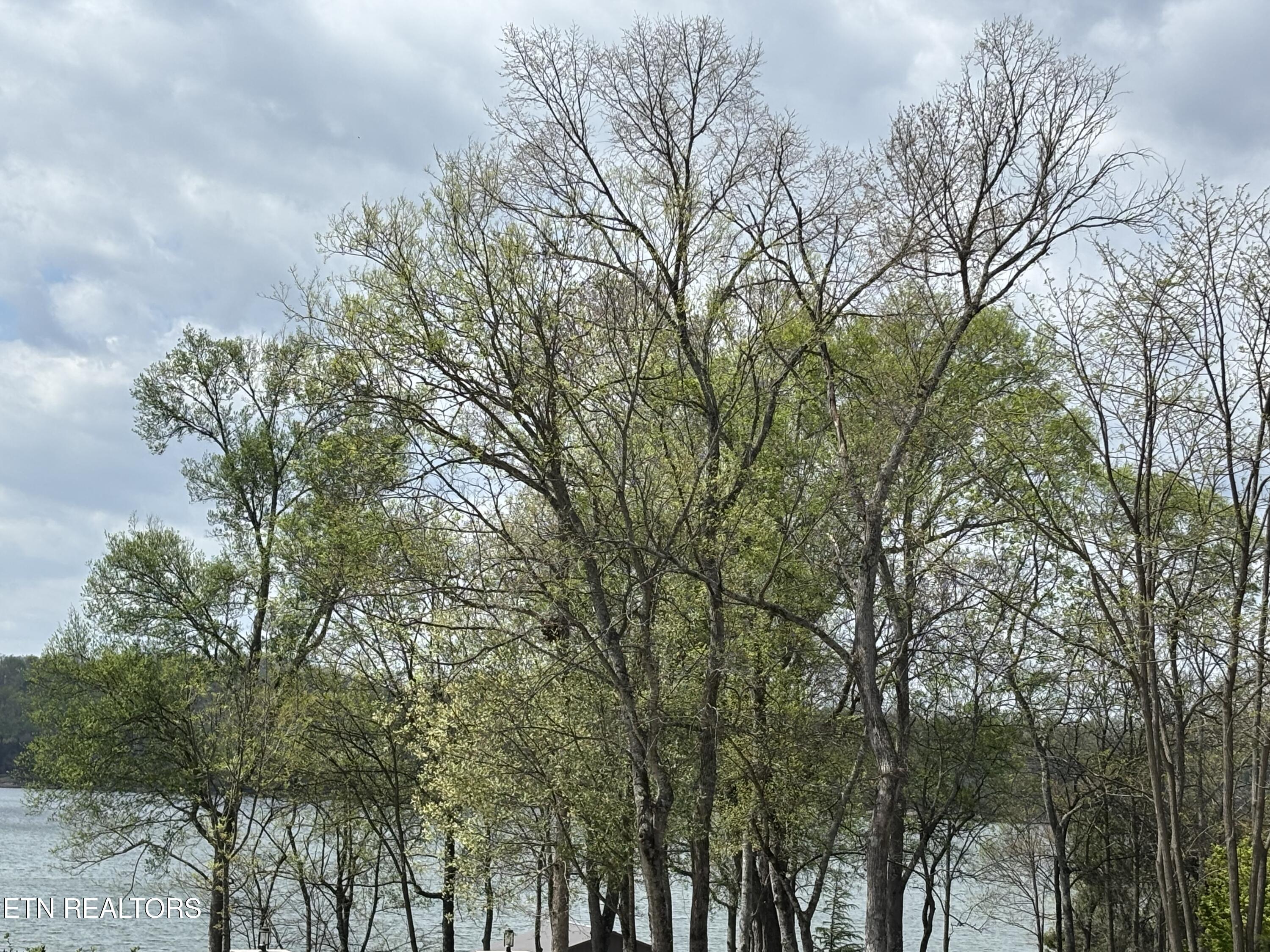 E Shore Drive Rockwood TN 37854