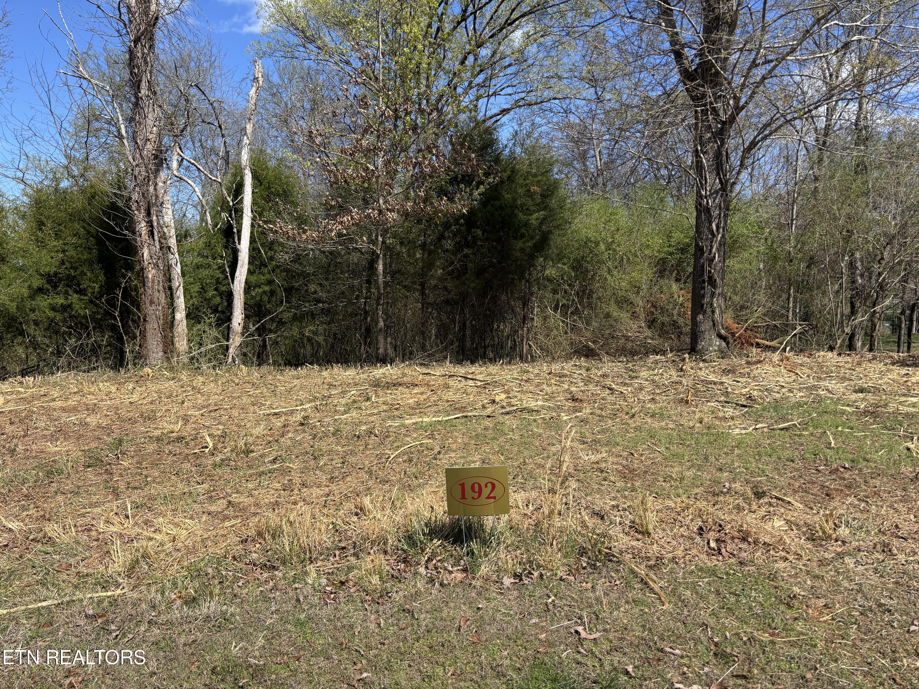 E Shore Drive Rockwood TN 37854