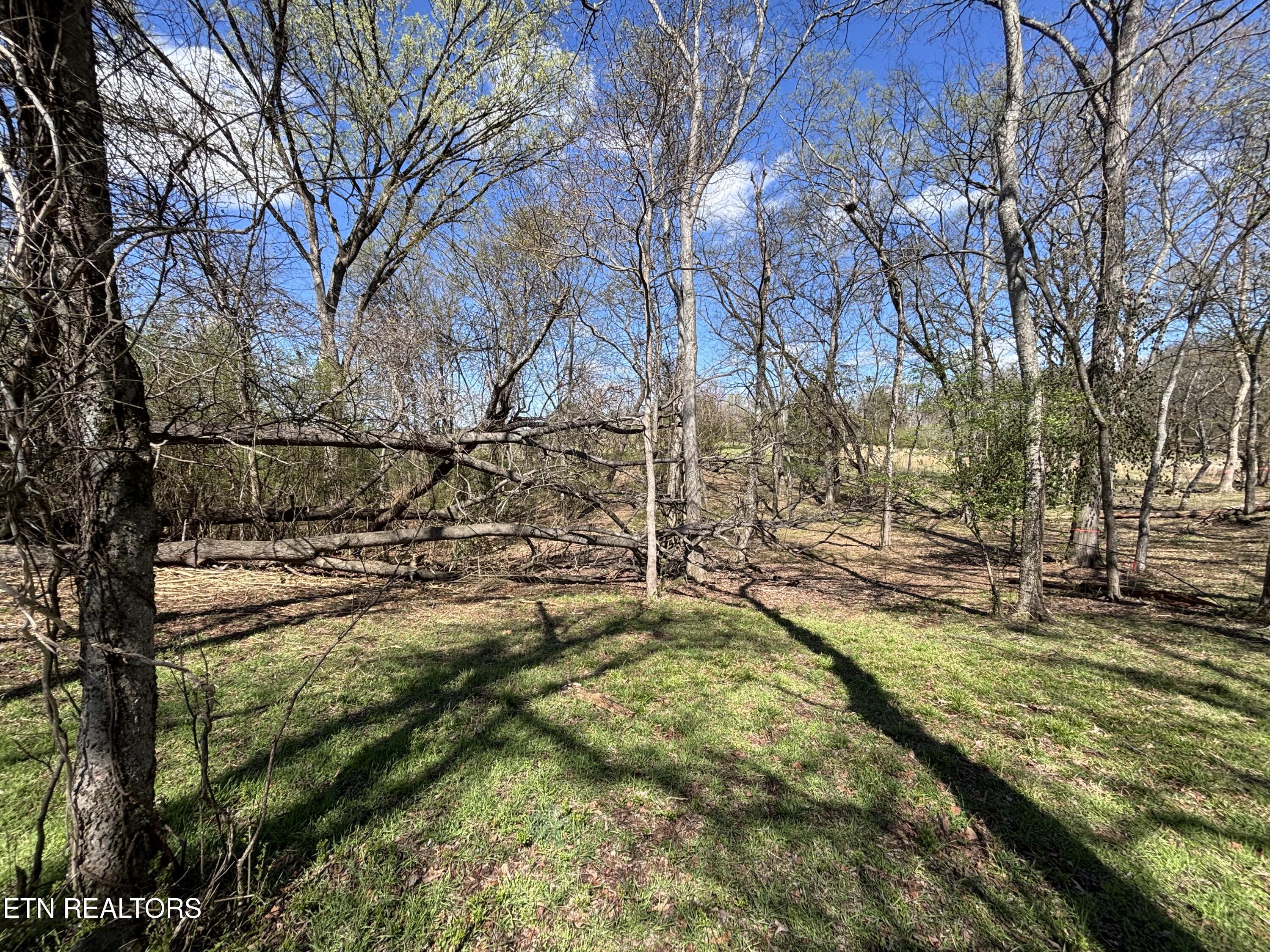 E Shore Drive Rockwood TN 37854