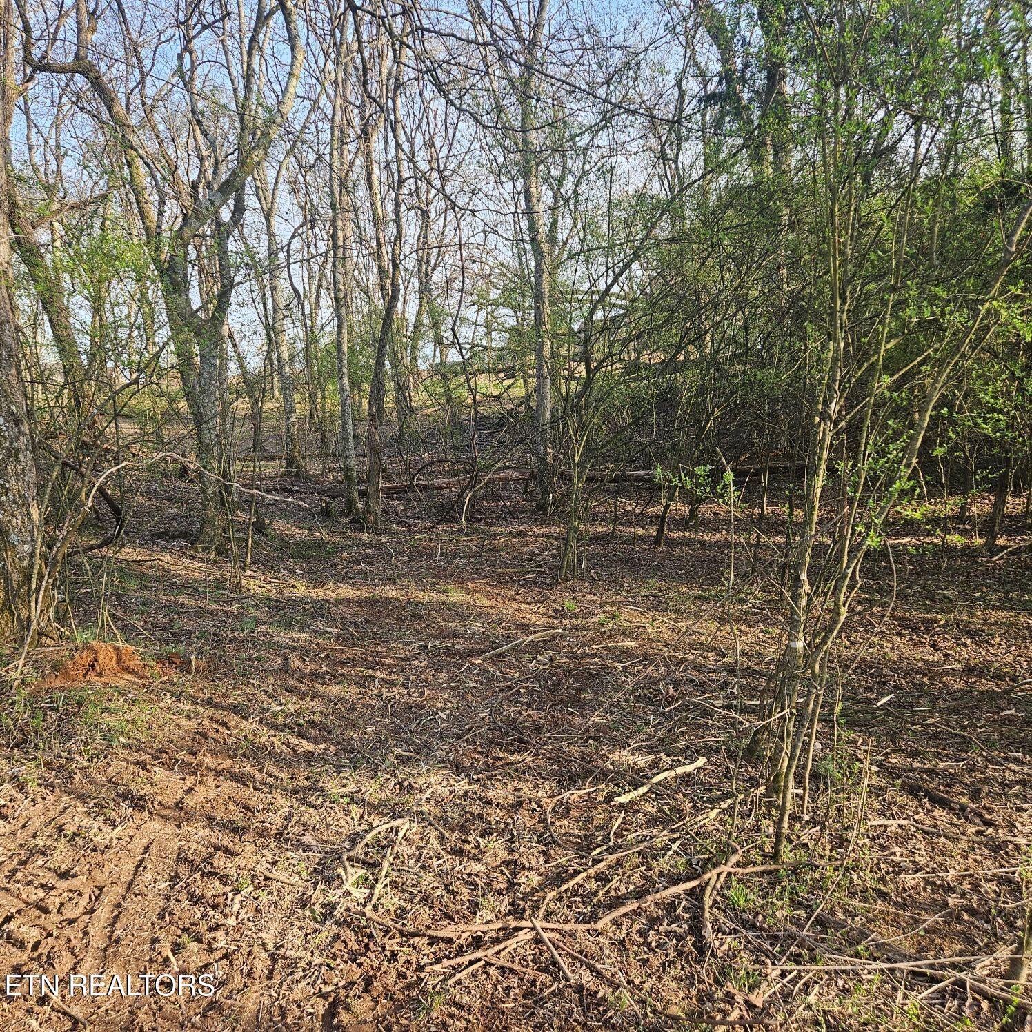 E Shore Drive Rockwood TN 37854