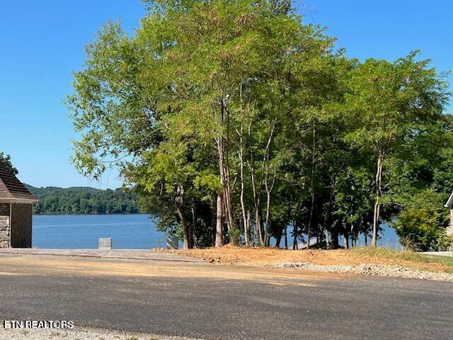 E Shore Drive Rockwood TN 37854