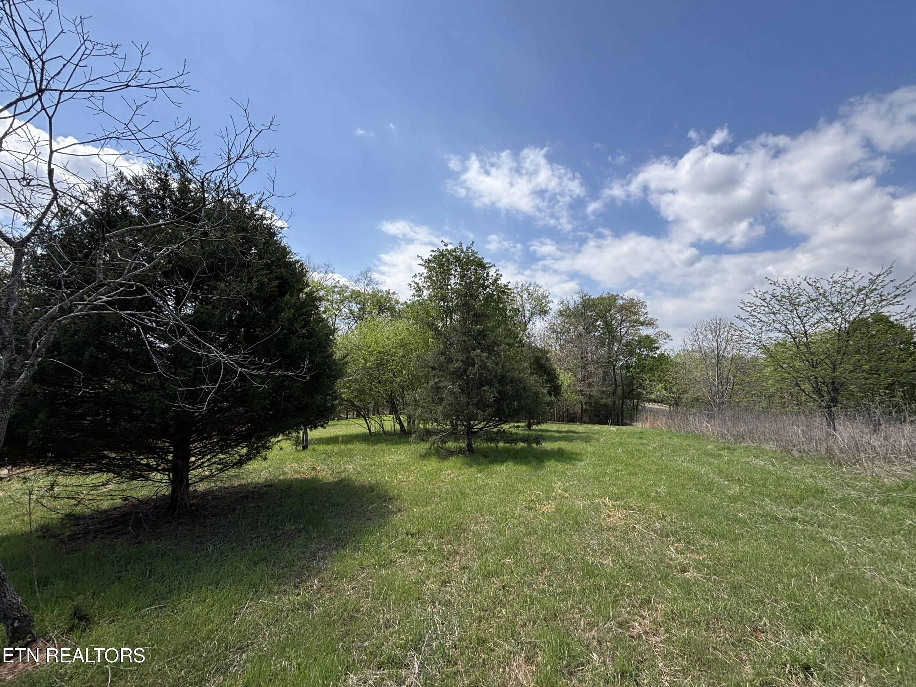 E Shore Drive Rockwood TN 37854