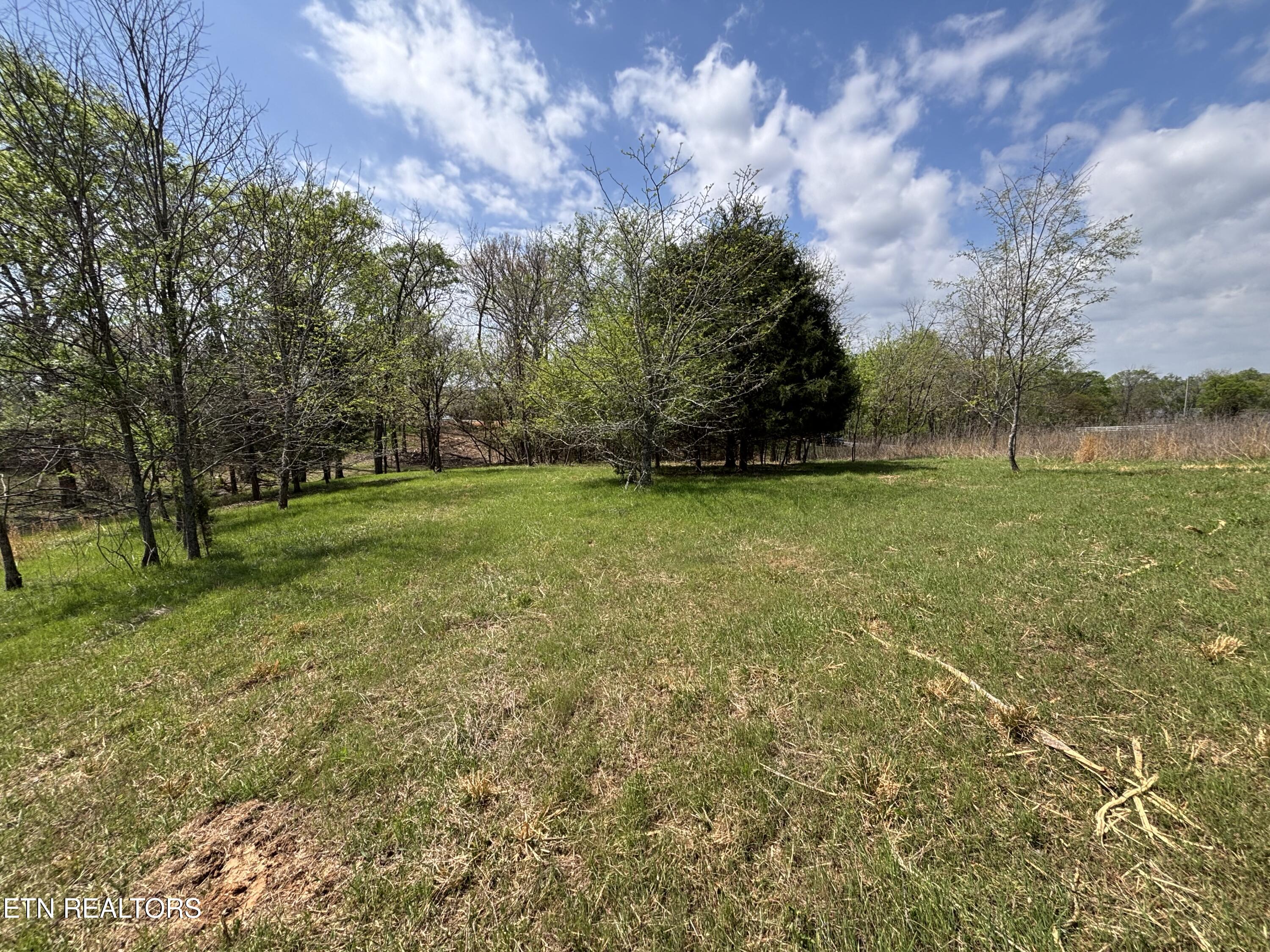E Shore Drive Rockwood TN 37854