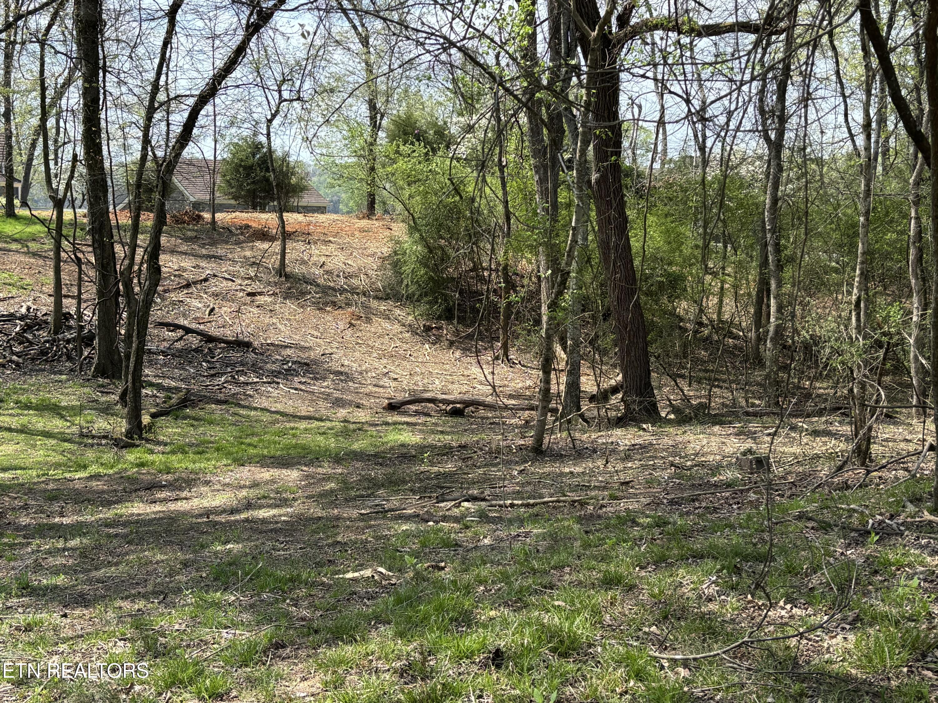 E Shore Drive Rockwood TN 37854