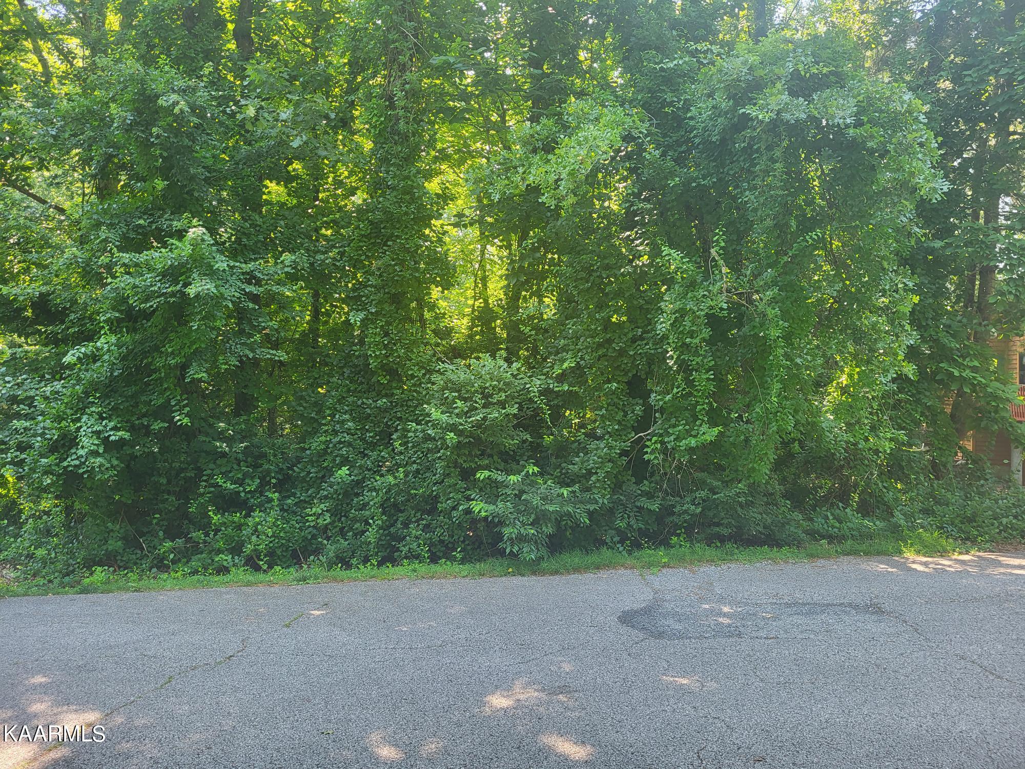 15 Newcom Court Crossville TN 38558