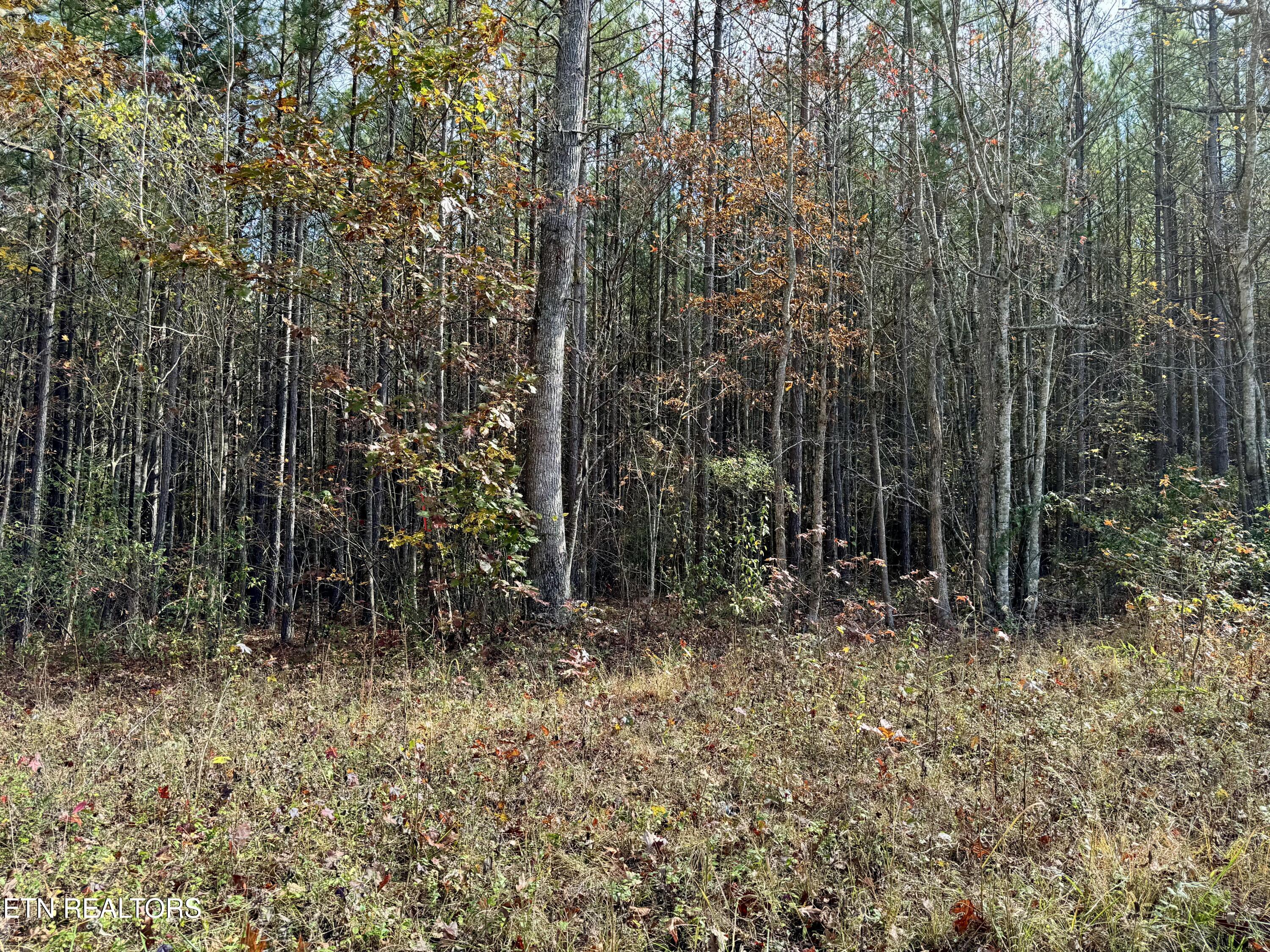 Lower Rockwood Road Lot 22 Rockwood TN 37854