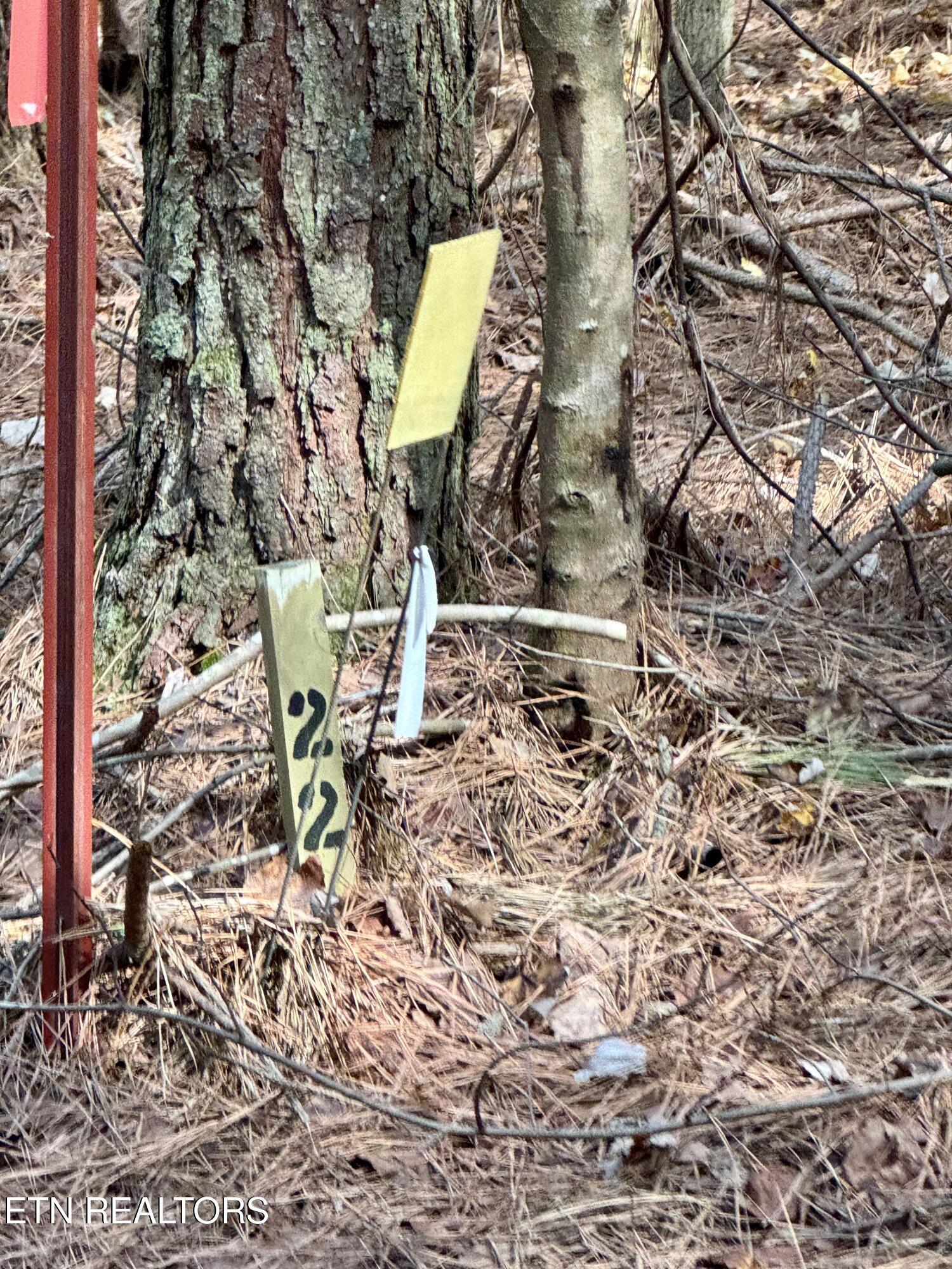 Lower Rockwood Road Lot 22 Rockwood TN 37854