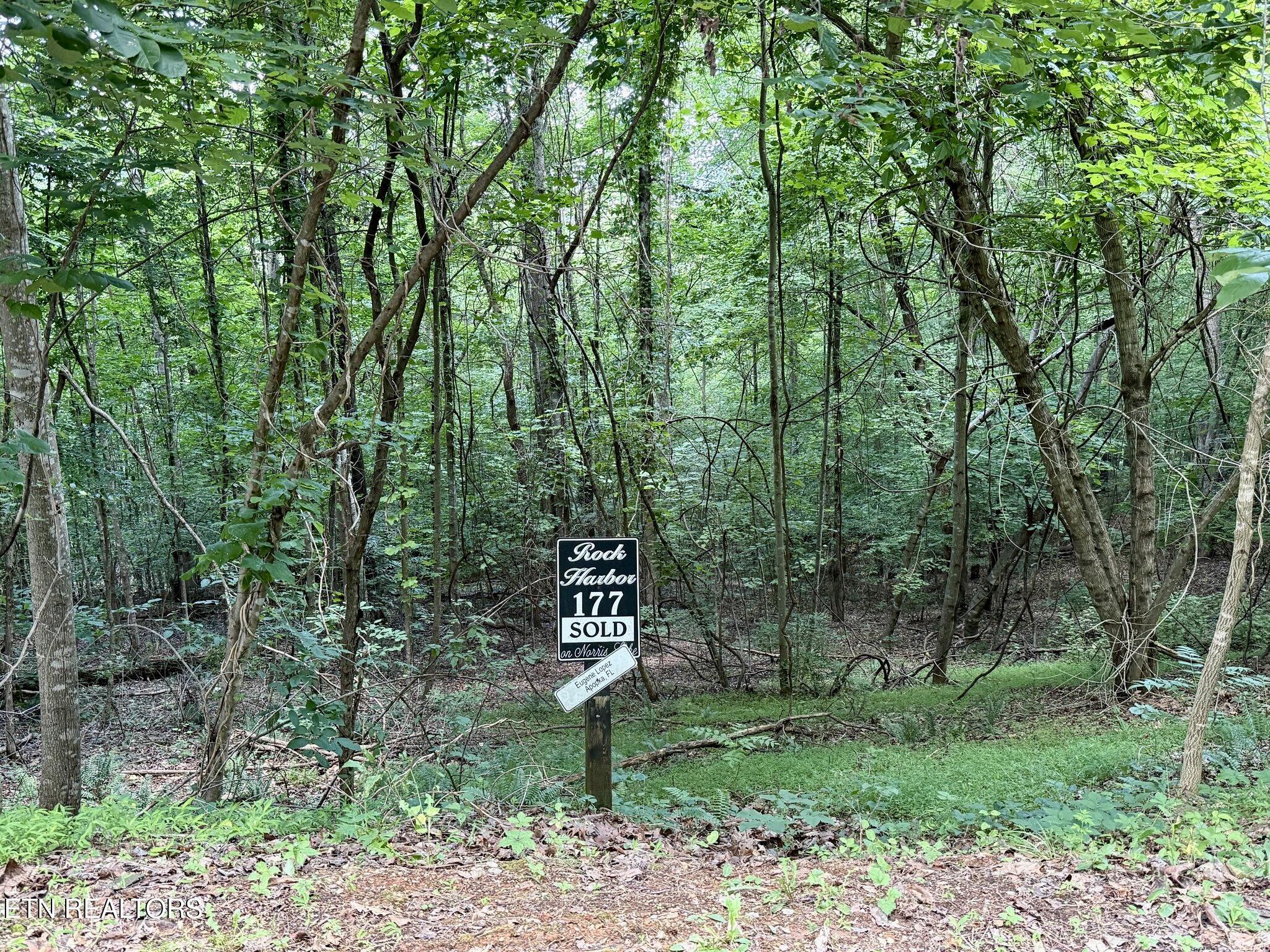 Moonstone Lane New Tazewell TN 37825