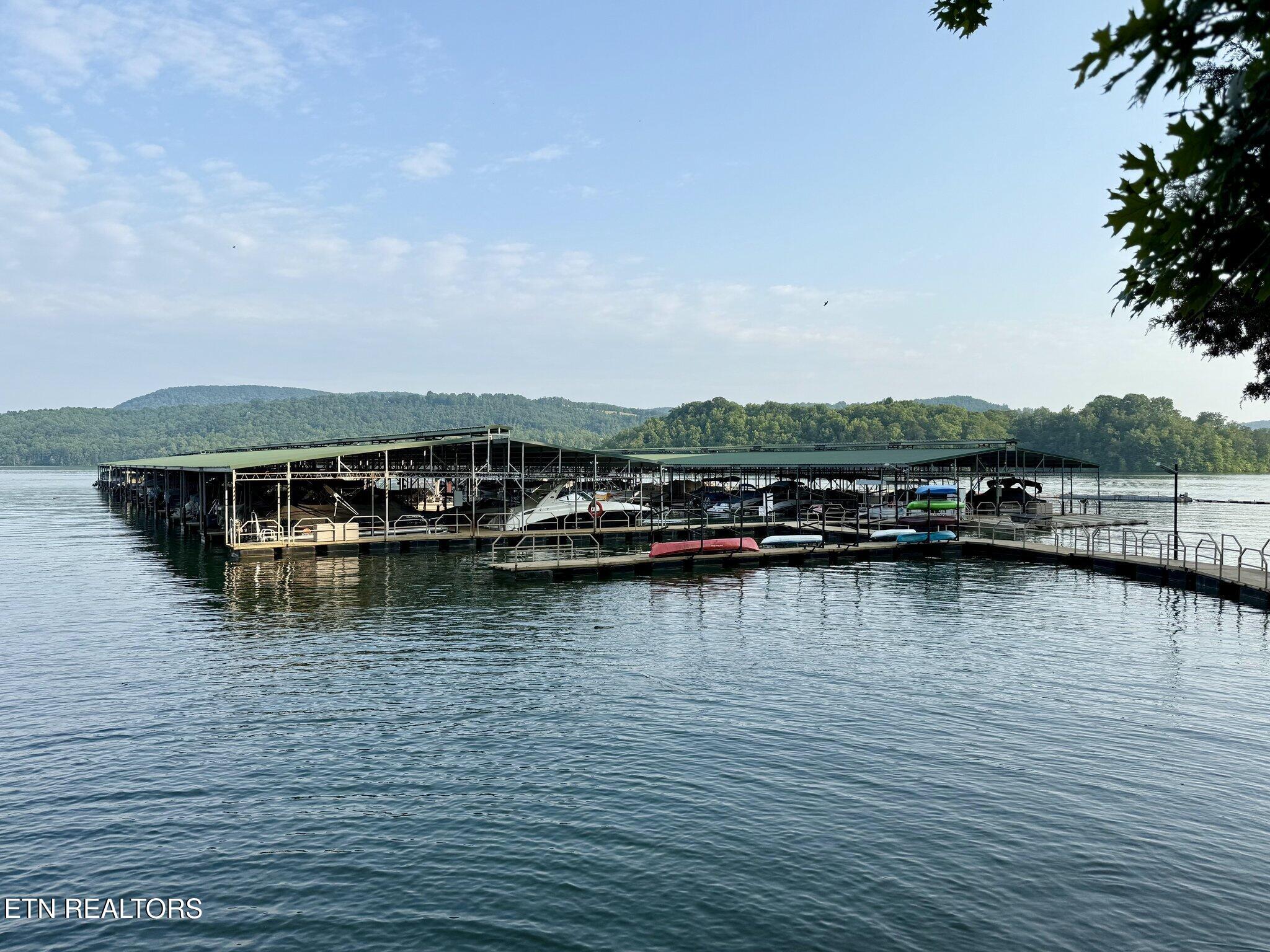 Moonstone Lane New Tazewell TN 37825