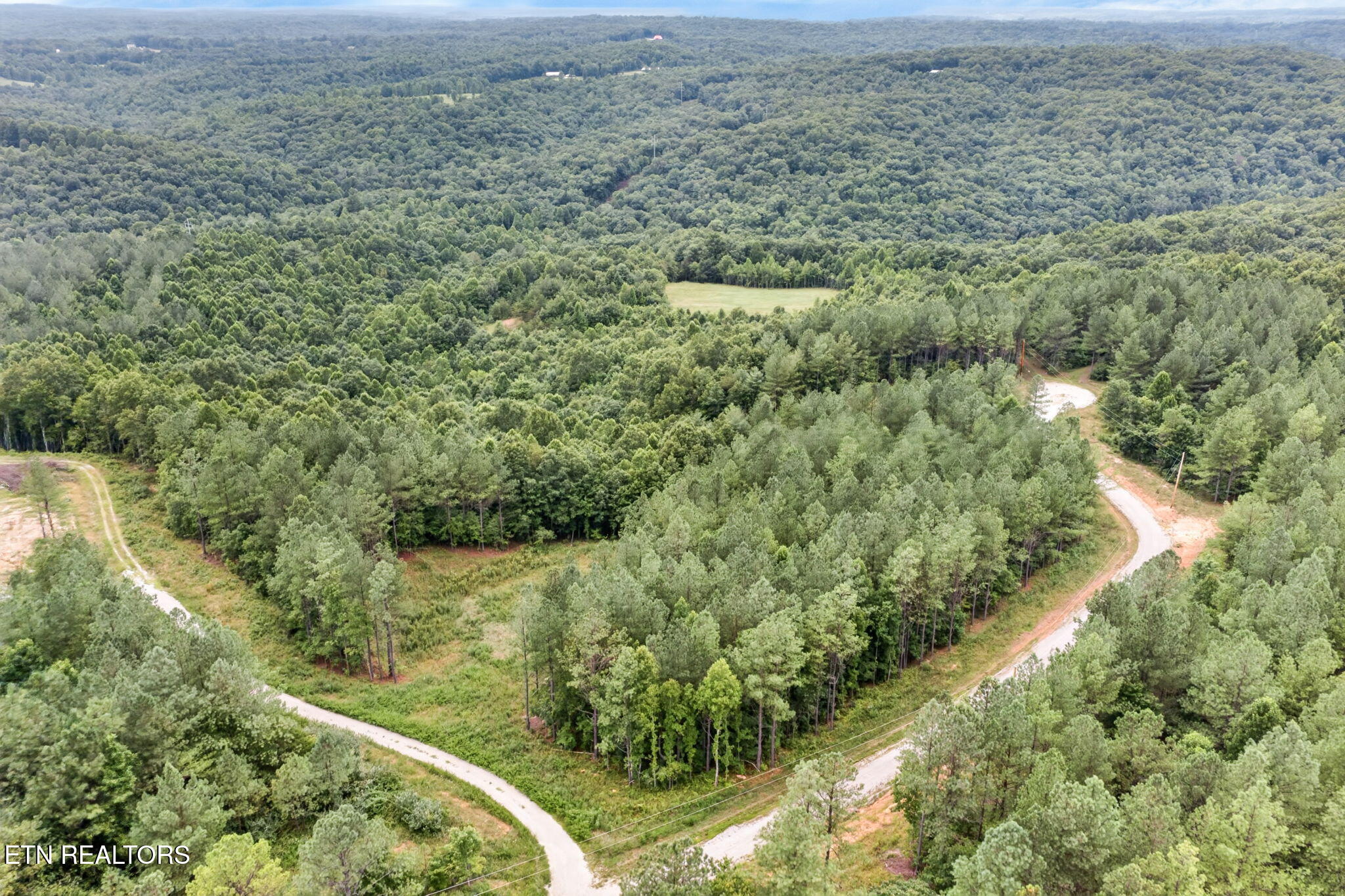 Lot 39 Stonecipher Court Sunbright TN 37872