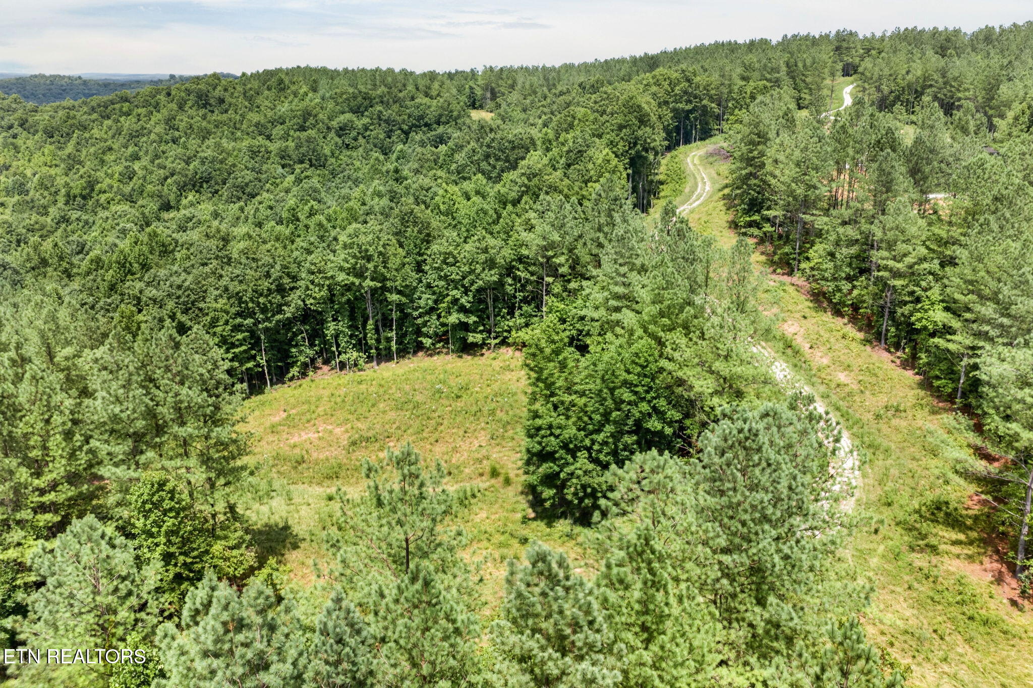 Lot 39 Stonecipher Court Sunbright TN 37872