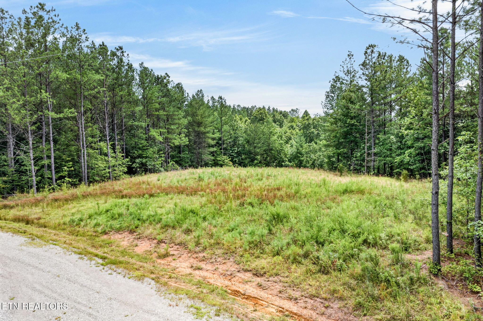 Lot 39 Stonecipher Court Sunbright TN 37872