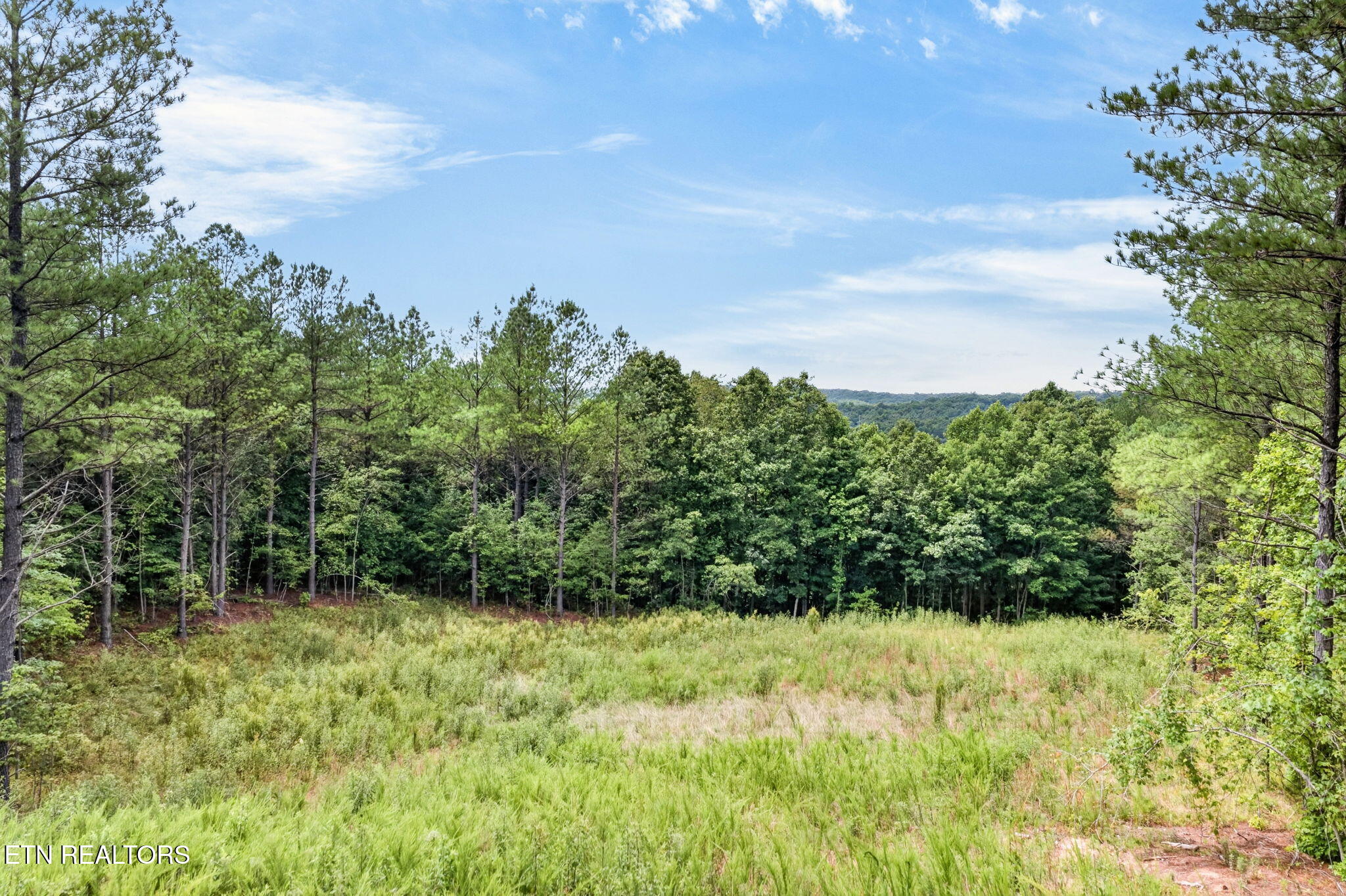 Lot 39 Stonecipher Court Sunbright TN 37872