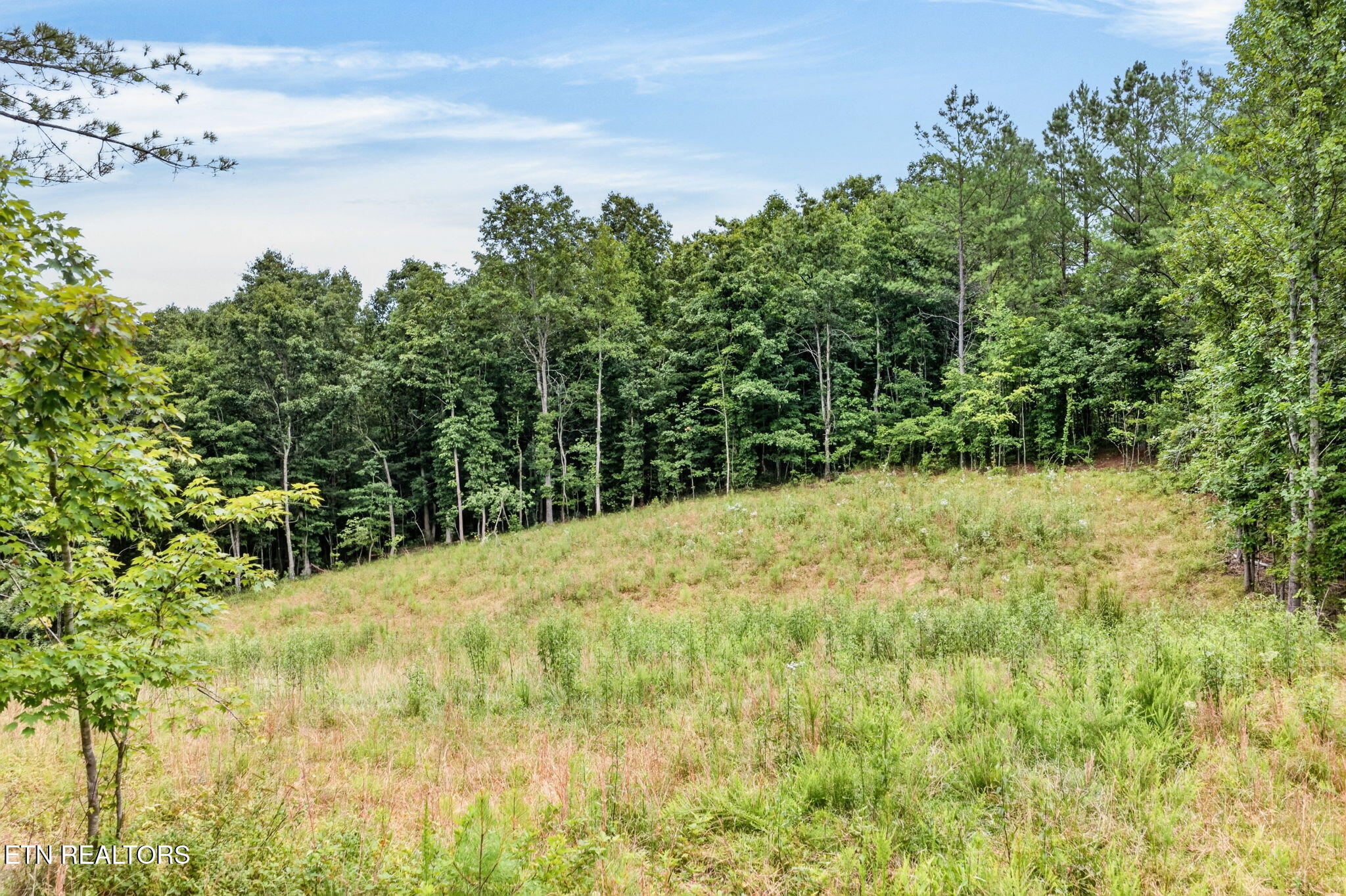 Lot 39 Stonecipher Court Sunbright TN 37872