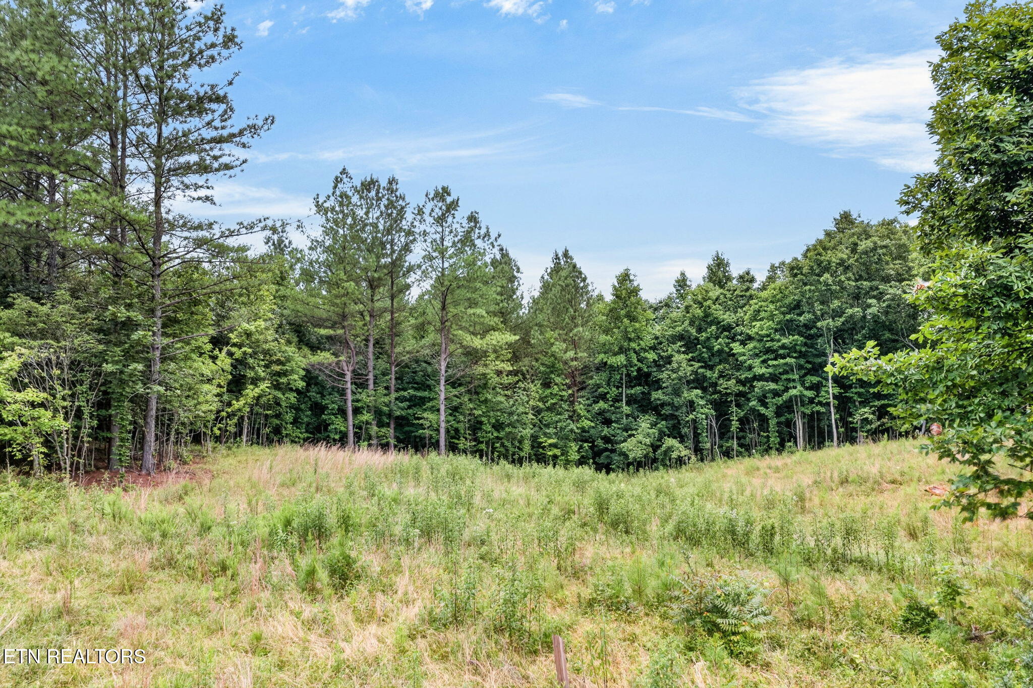 Lot 39 Stonecipher Court Sunbright TN 37872