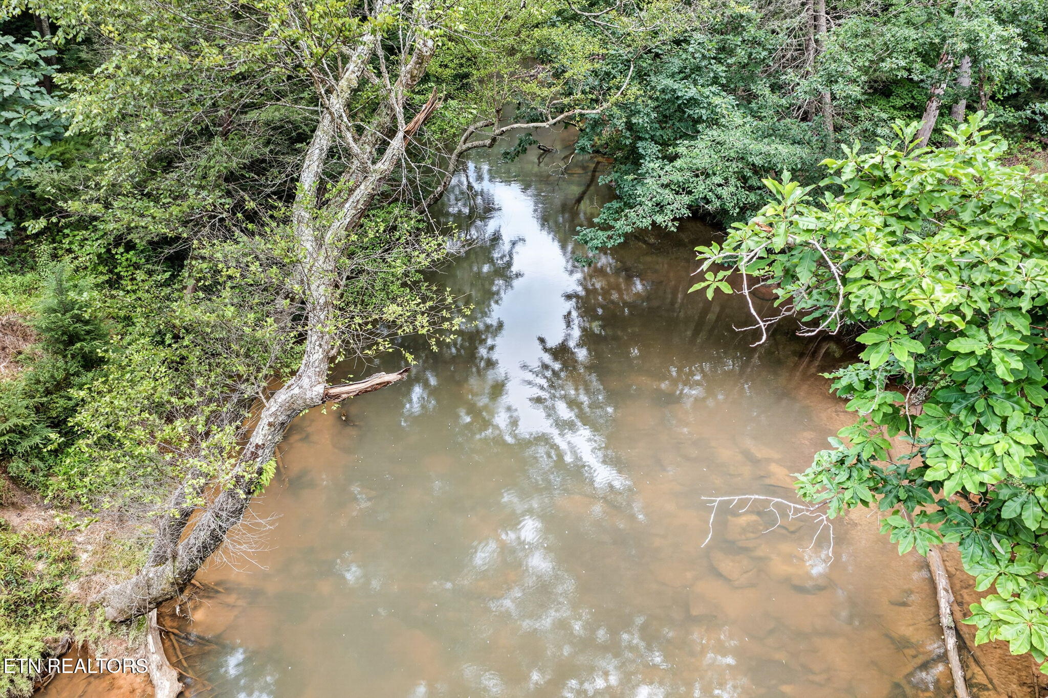 Lot 39 Stonecipher Court Sunbright TN 37872
