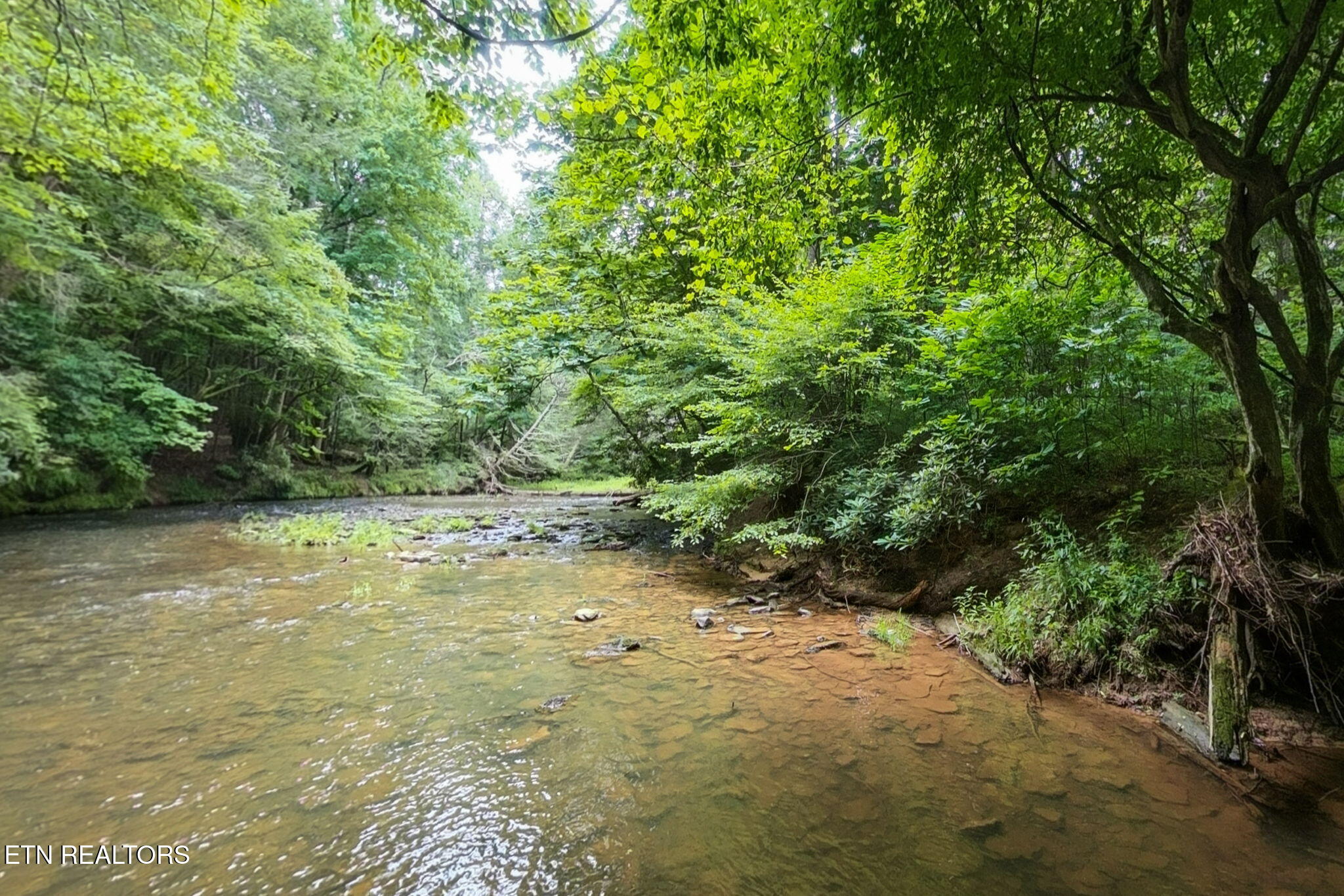 Lot 39 Stonecipher Court Sunbright TN 37872