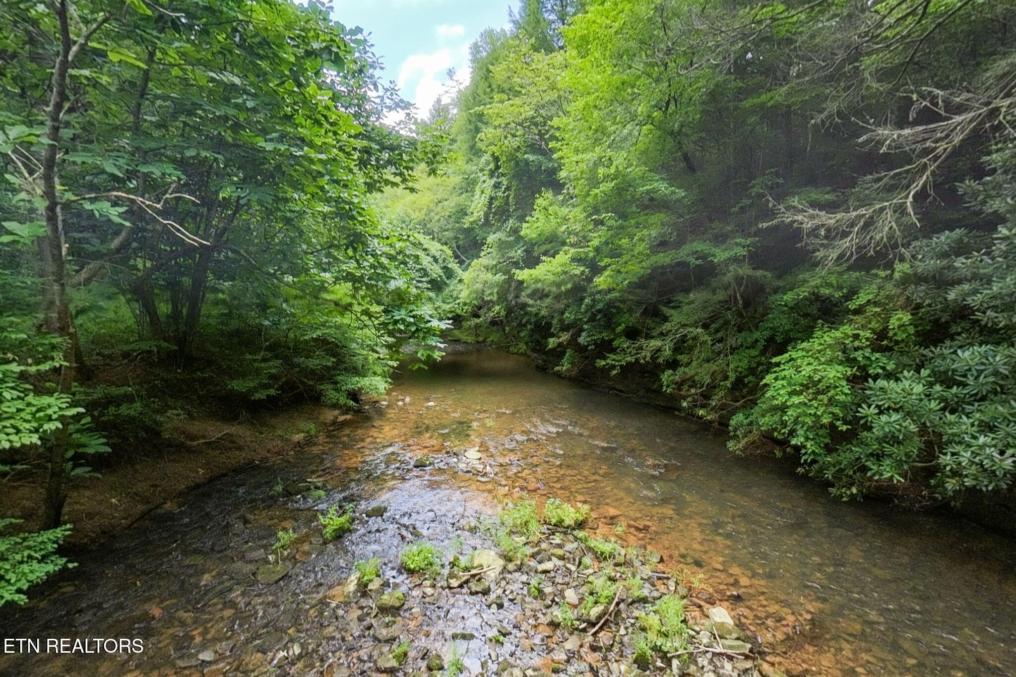 Lot 39 Stonecipher Court Sunbright TN 37872