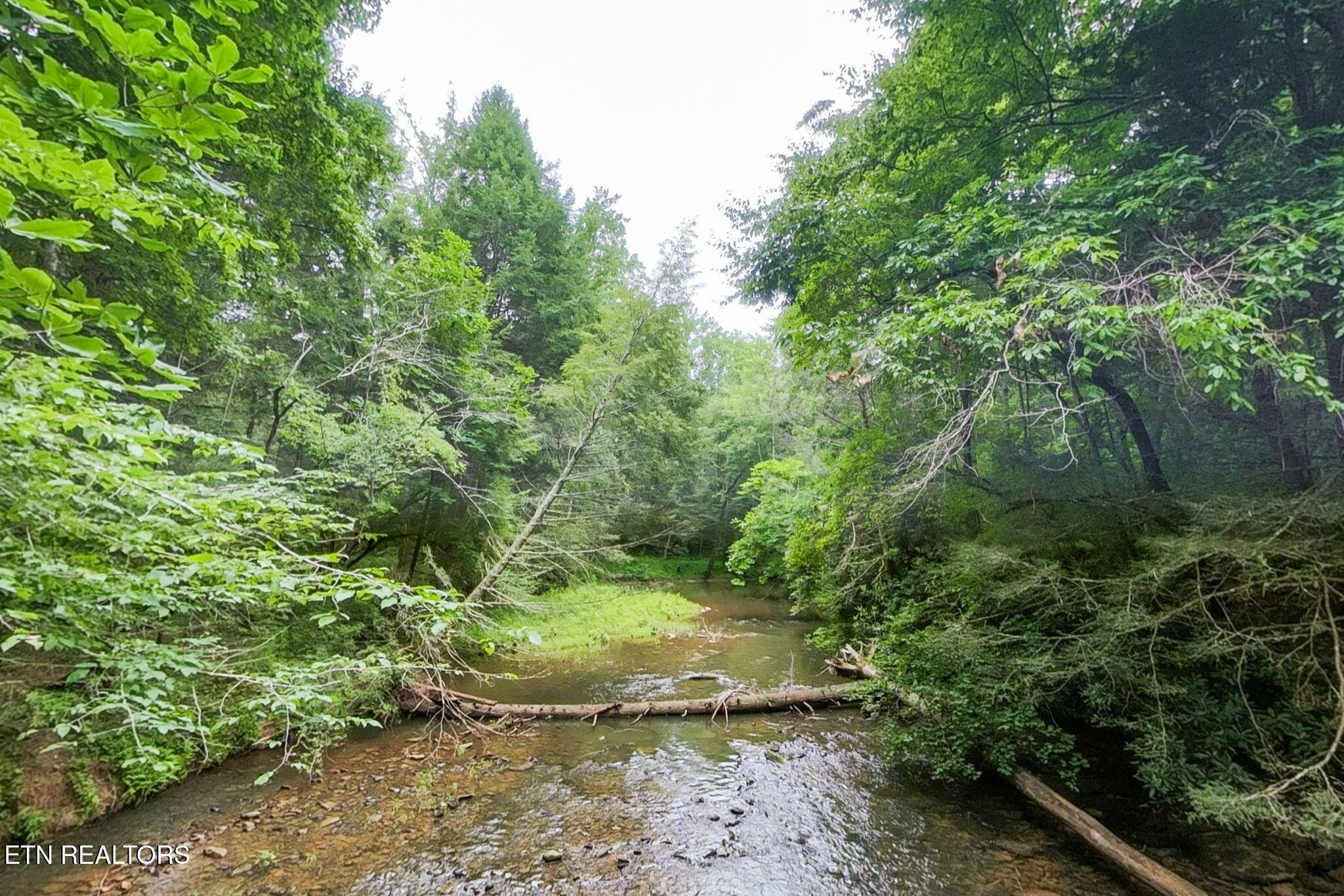 Lot 39 Stonecipher Court Sunbright TN 37872
