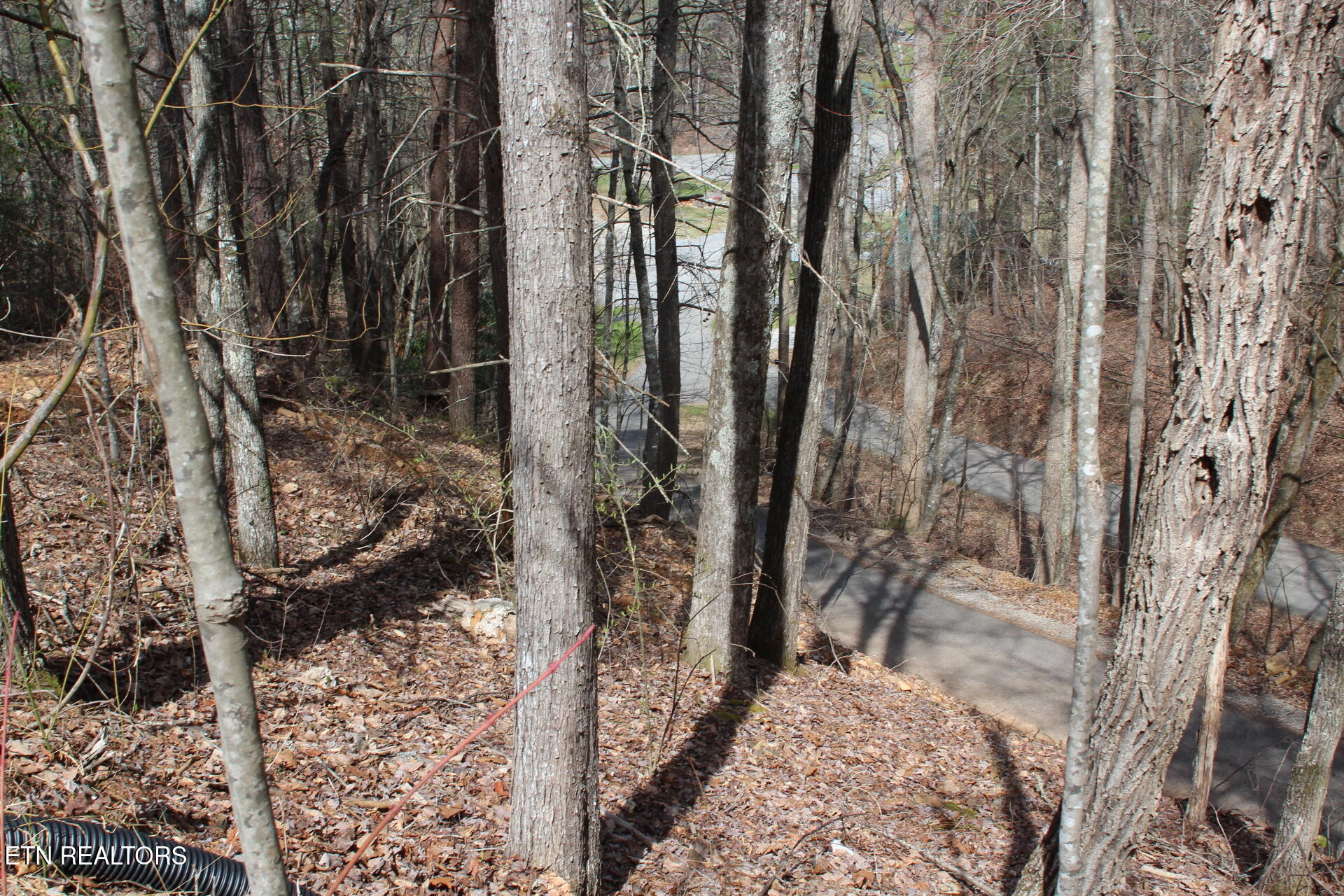 Ridgefield Drive Sevierville TN 37876