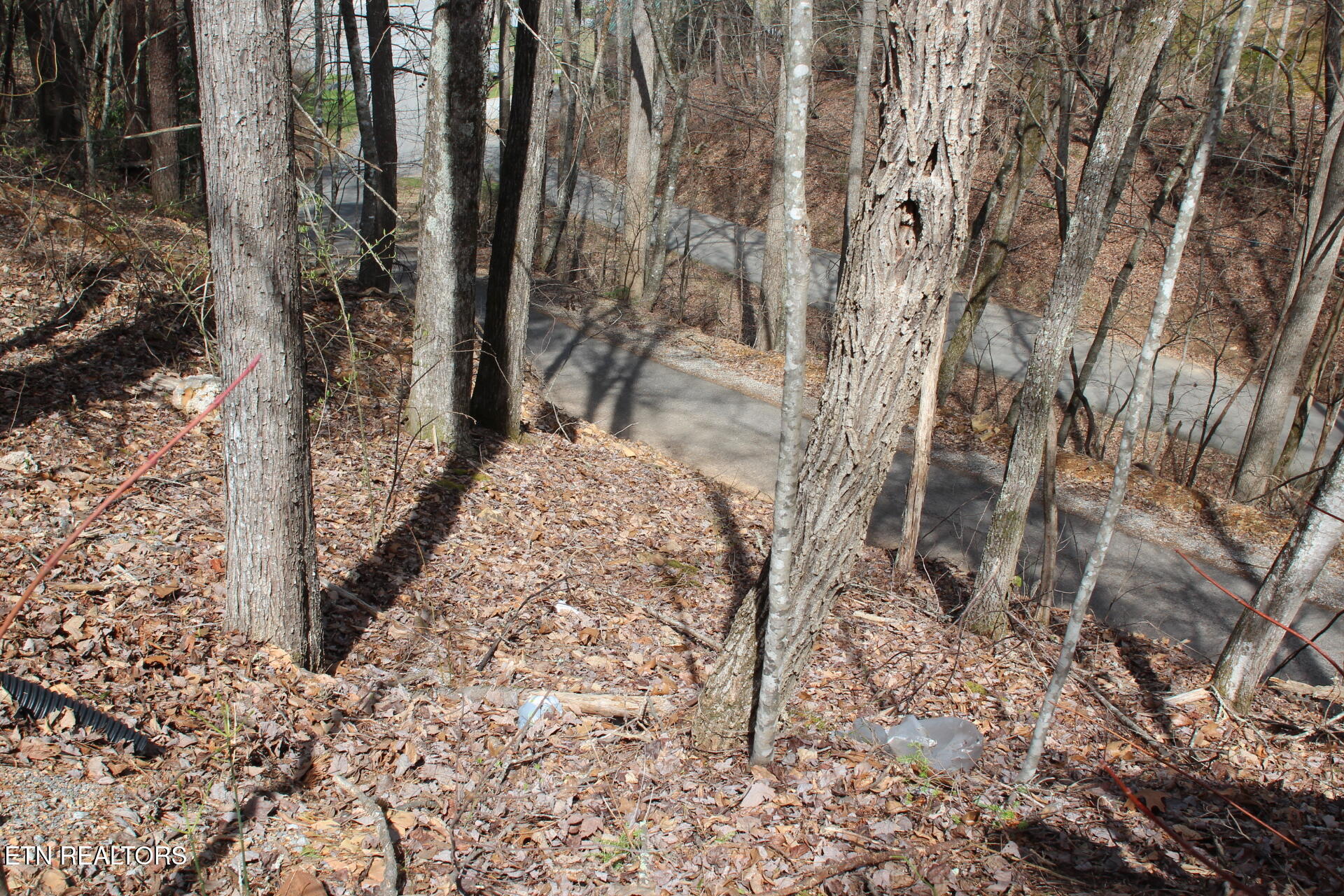 Ridgefield Drive Sevierville TN 37876