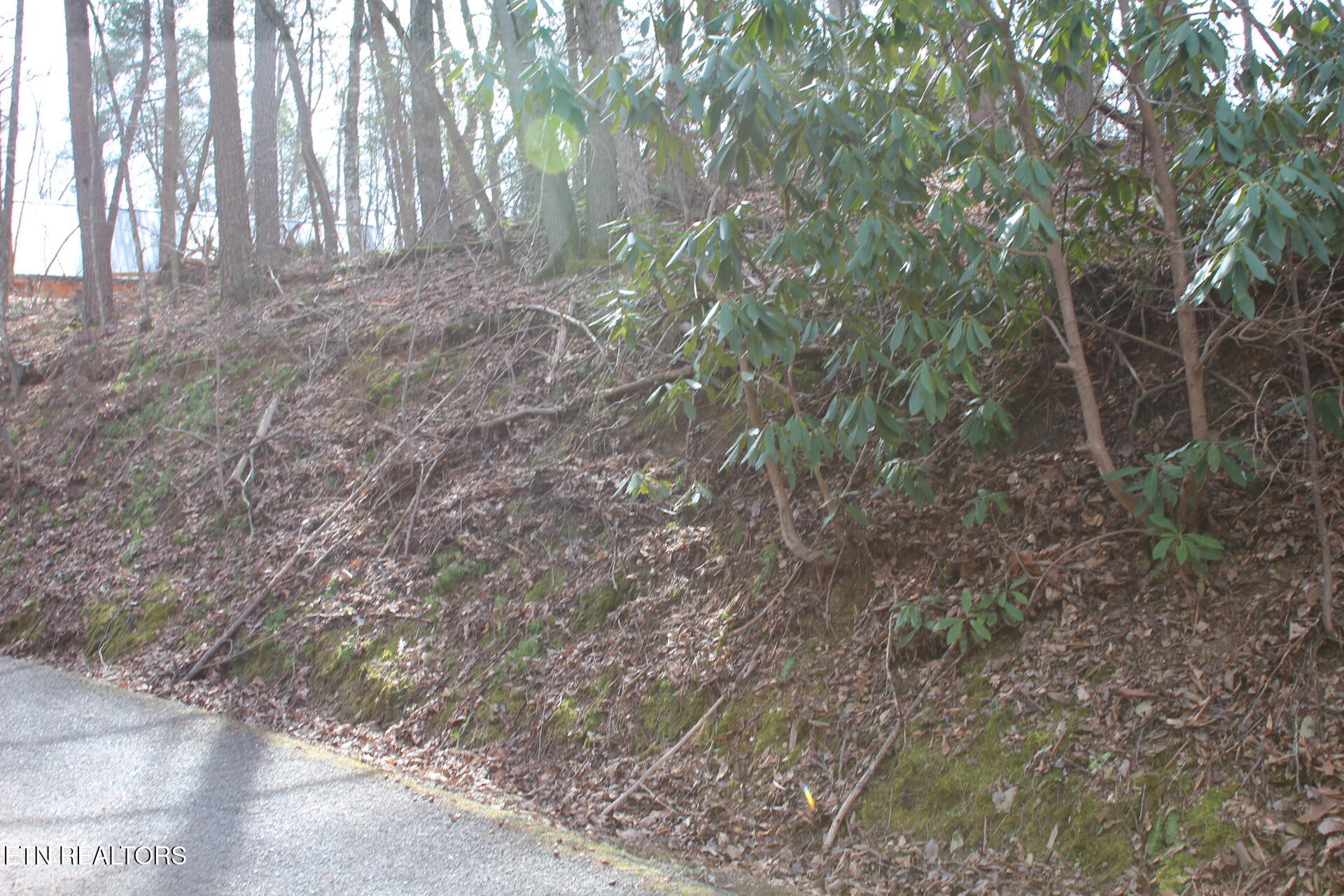 Ridgefield Drive Sevierville TN 37876