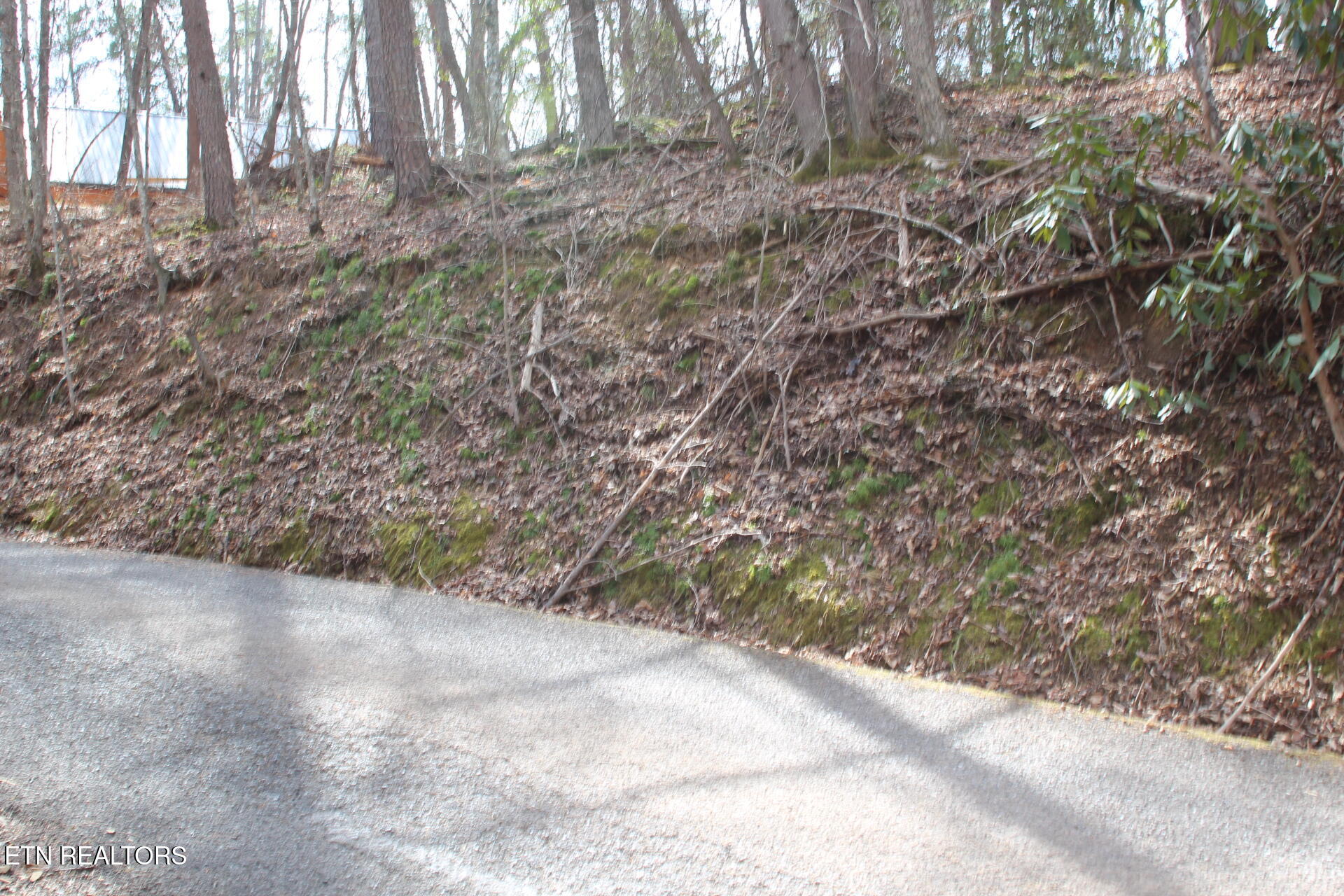 Ridgefield Drive Sevierville TN 37876