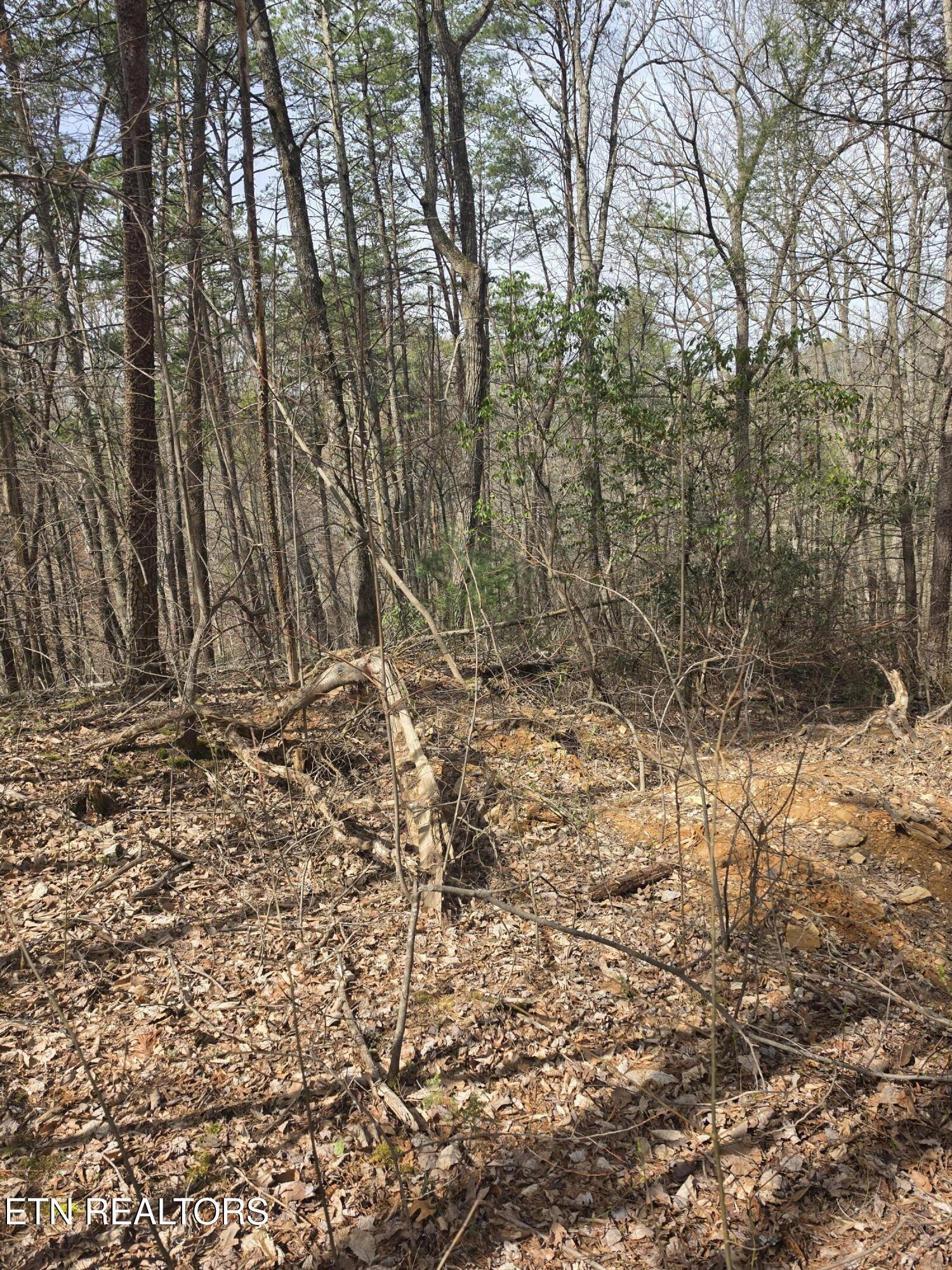 Ridgefield Drive Sevierville TN 37876