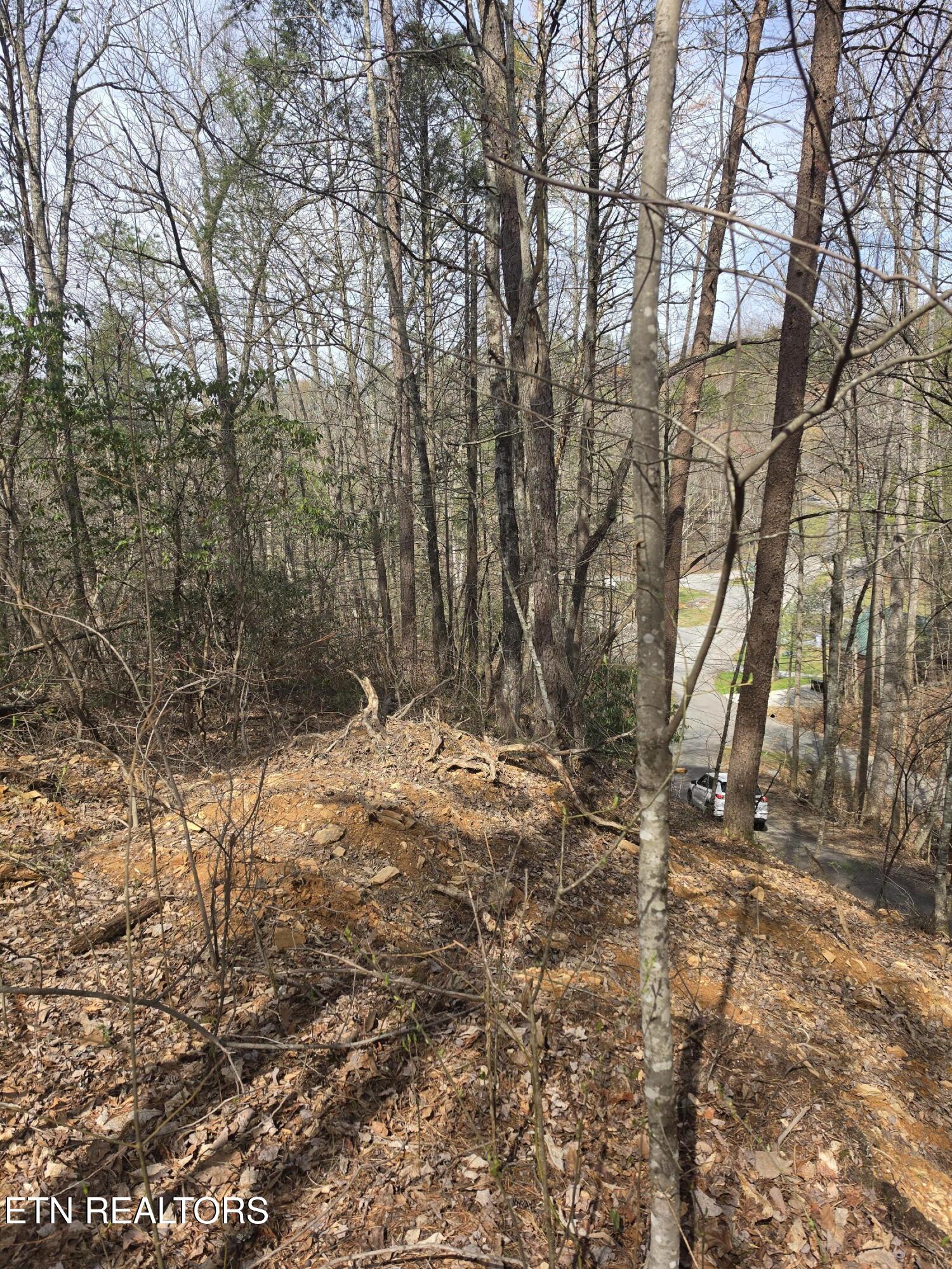 Ridgefield Drive Sevierville TN 37876