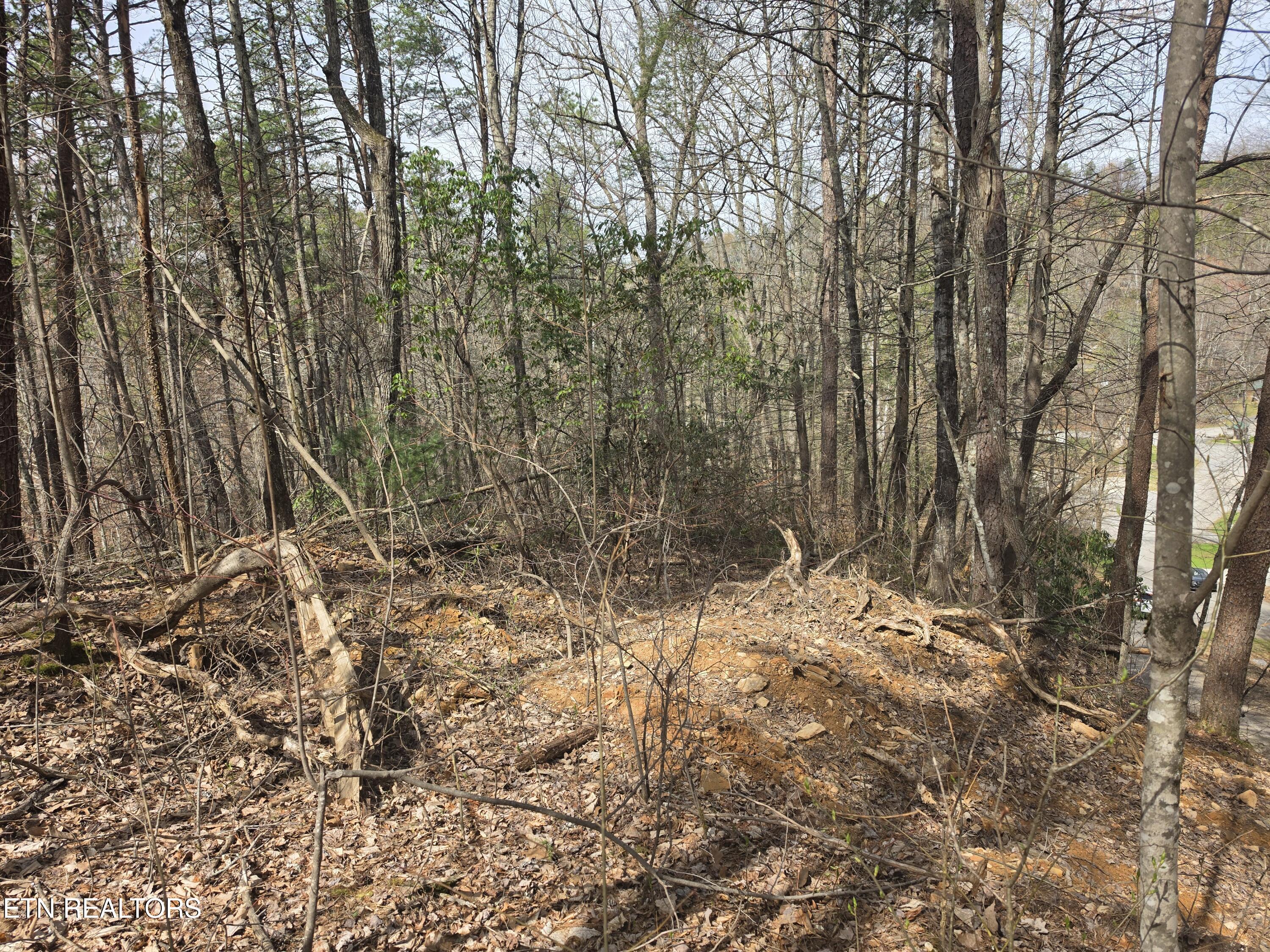 Ridgefield Drive Sevierville TN 37876