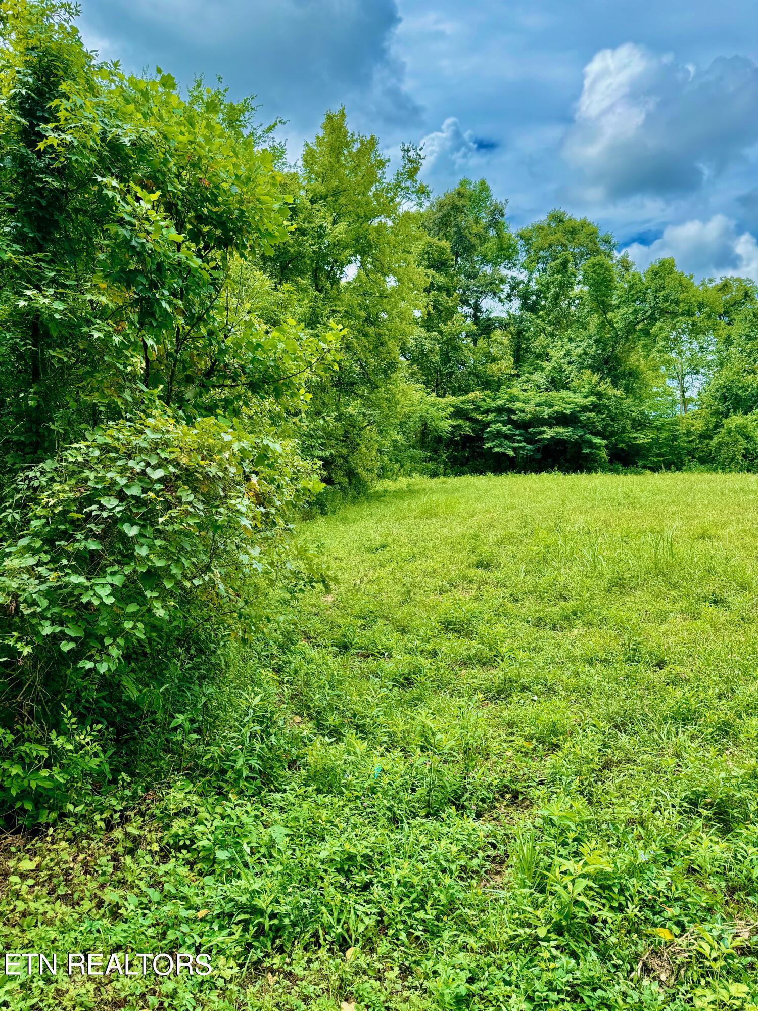 9600 E Town Creek Road Lenoir City TN 37772