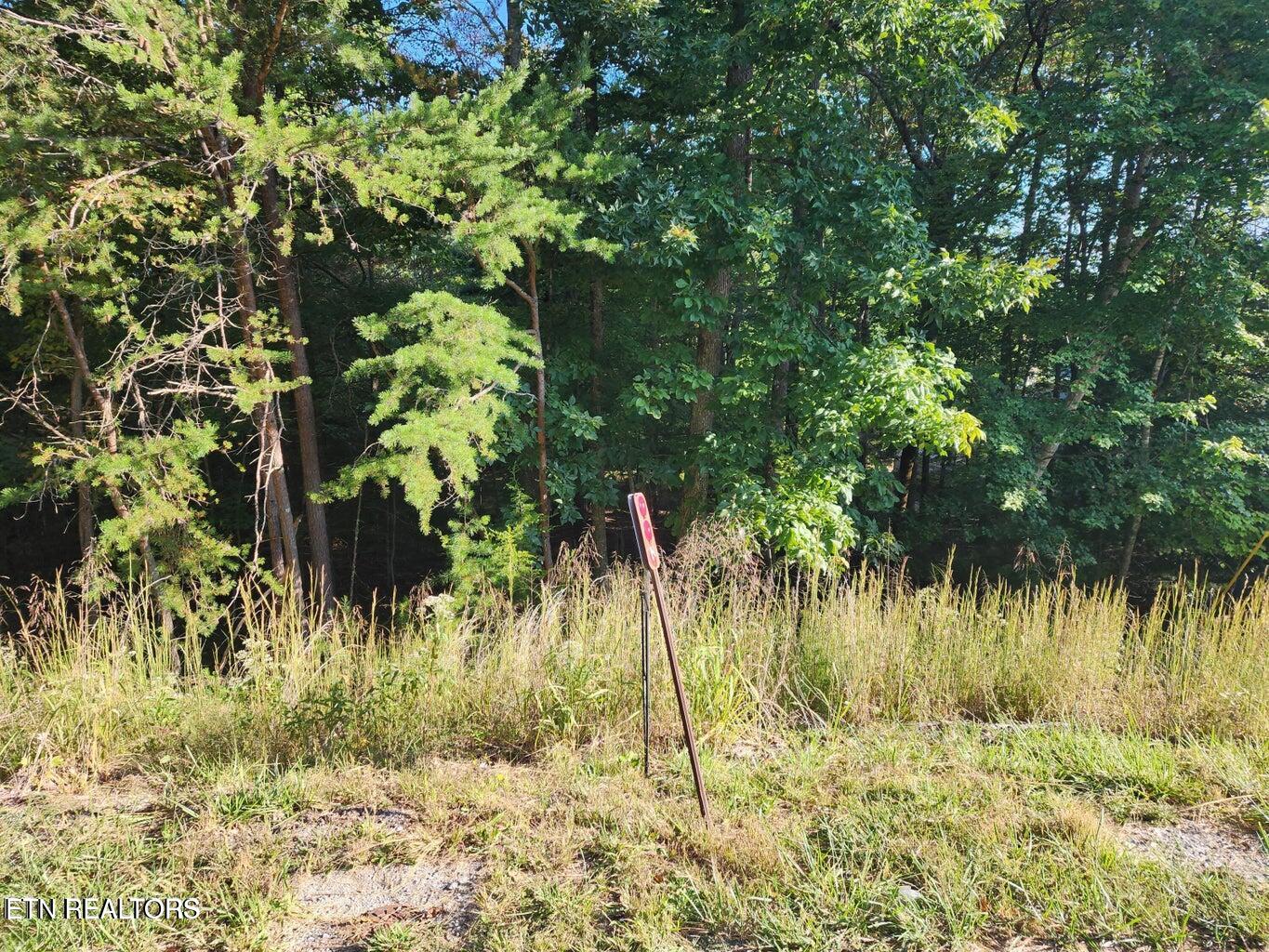 125 Valarian Drive Fairfield Glade TN 38558