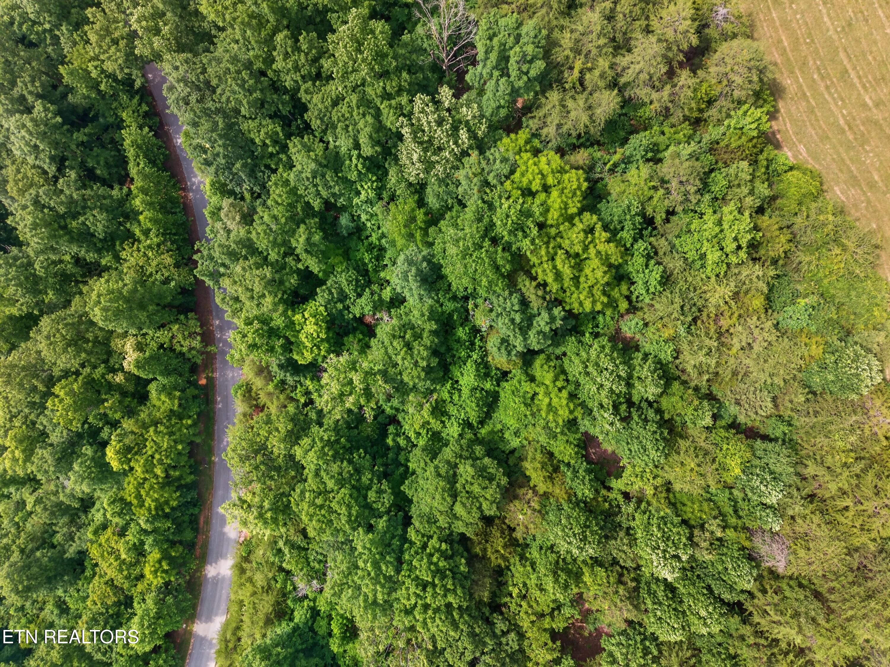 Silver Trail New Tazewell TN 37825