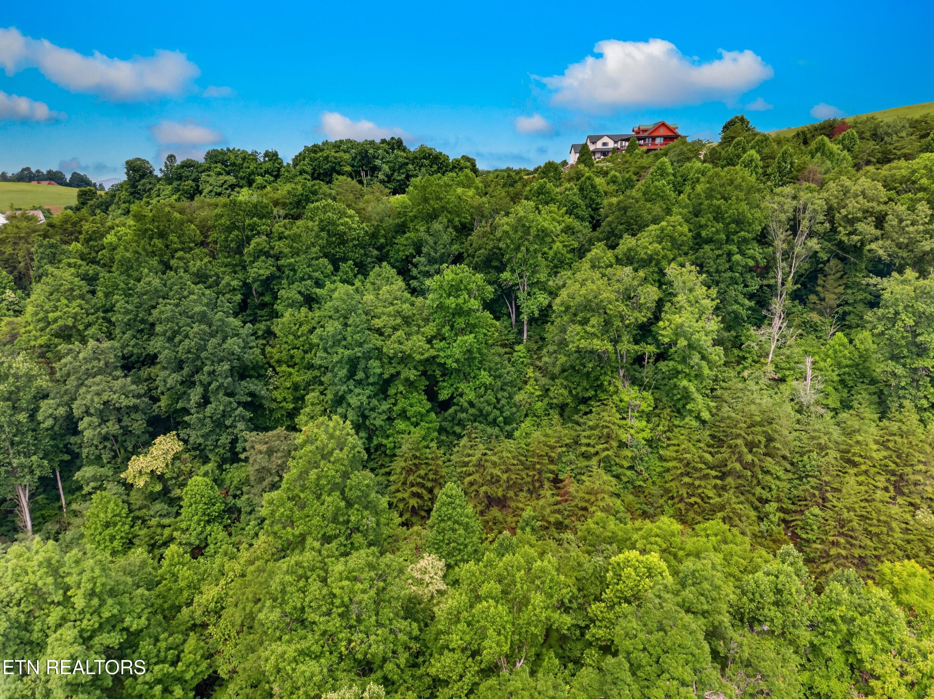 Silver Trail New Tazewell TN 37825
