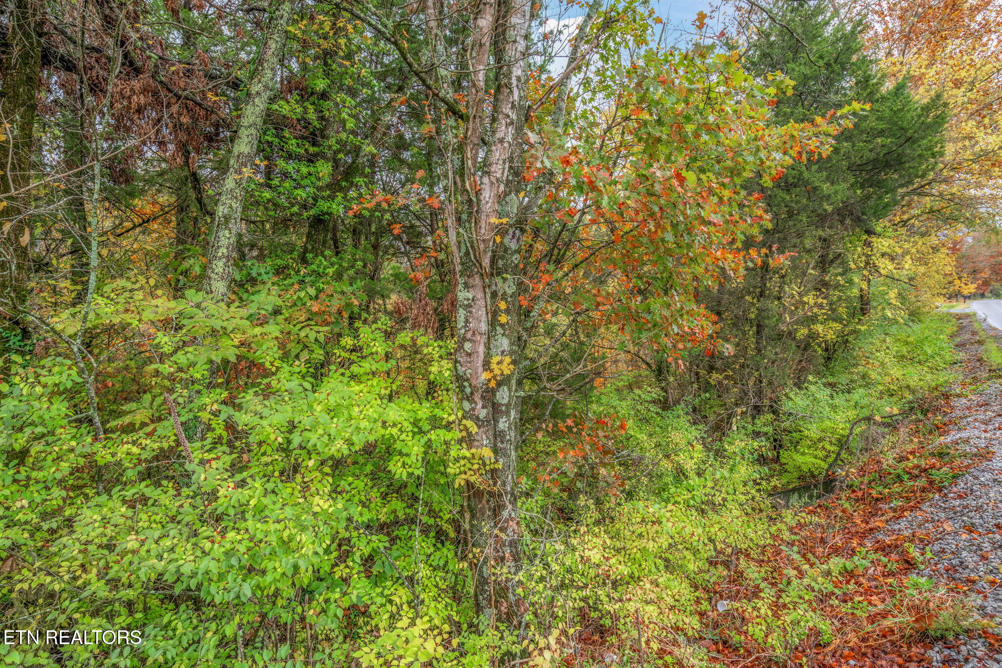 7716 Strawberry Plains Pike Knoxville TN 37924
