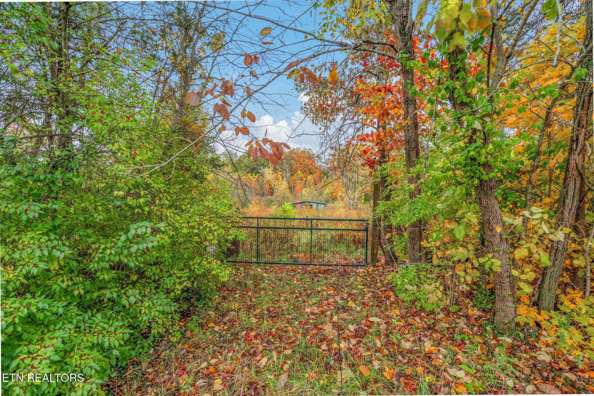 7716 Strawberry Plains Pike Knoxville TN 37924