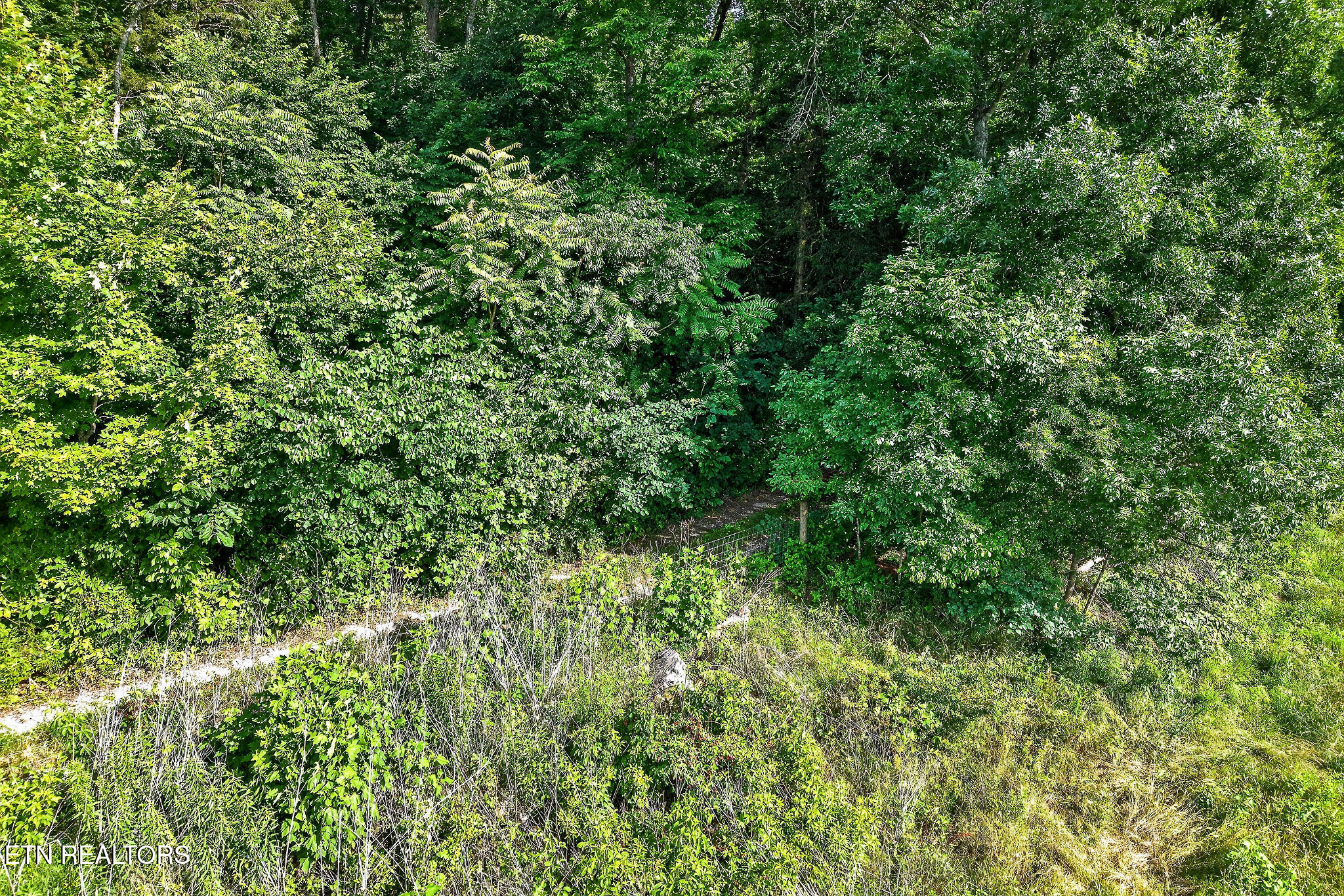 00 Moore Cove Road Quebeck TN 38579