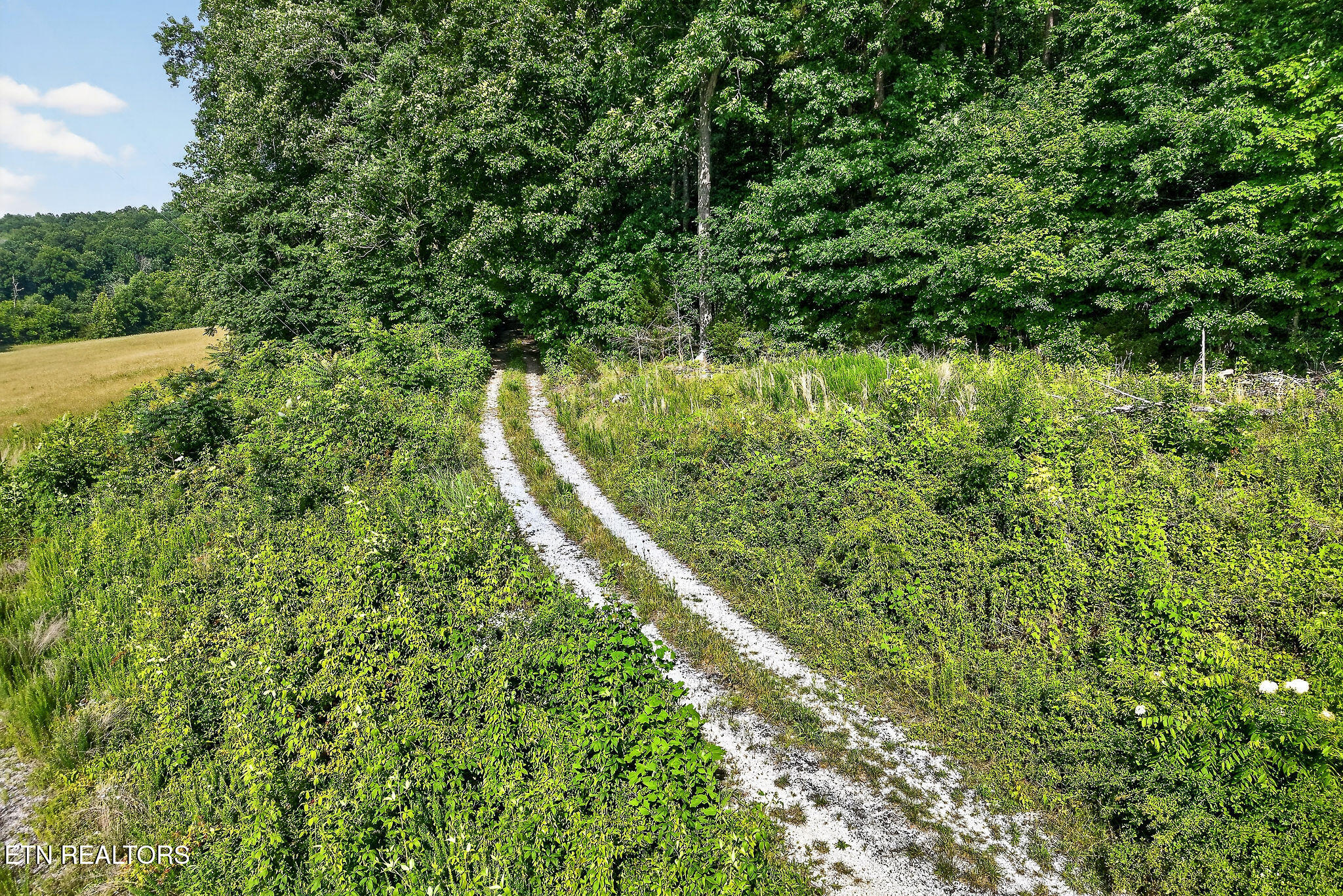 00 Moore Cove Road Quebeck TN 38579