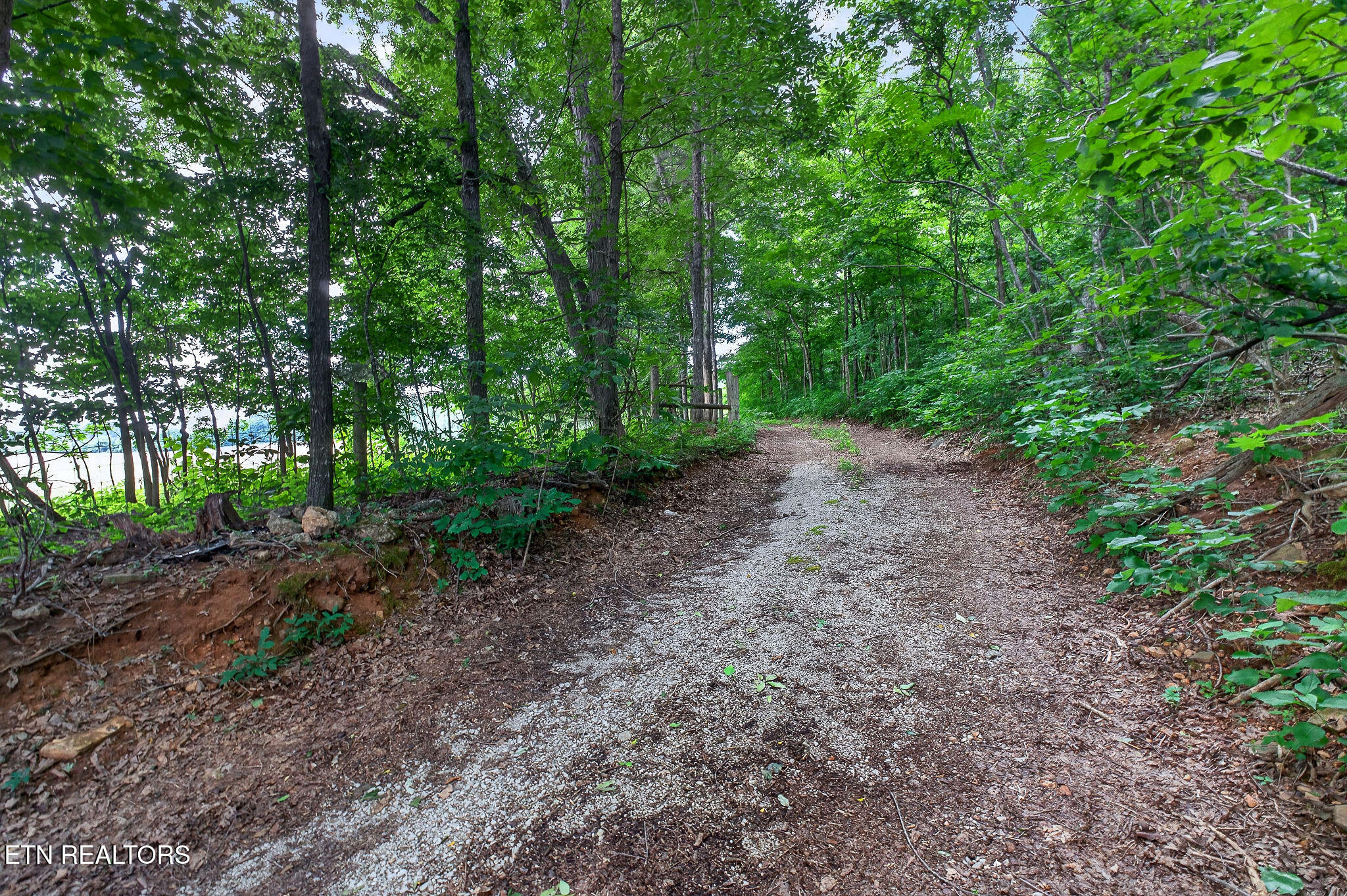 00 Moore Cove Road Quebeck TN 38579