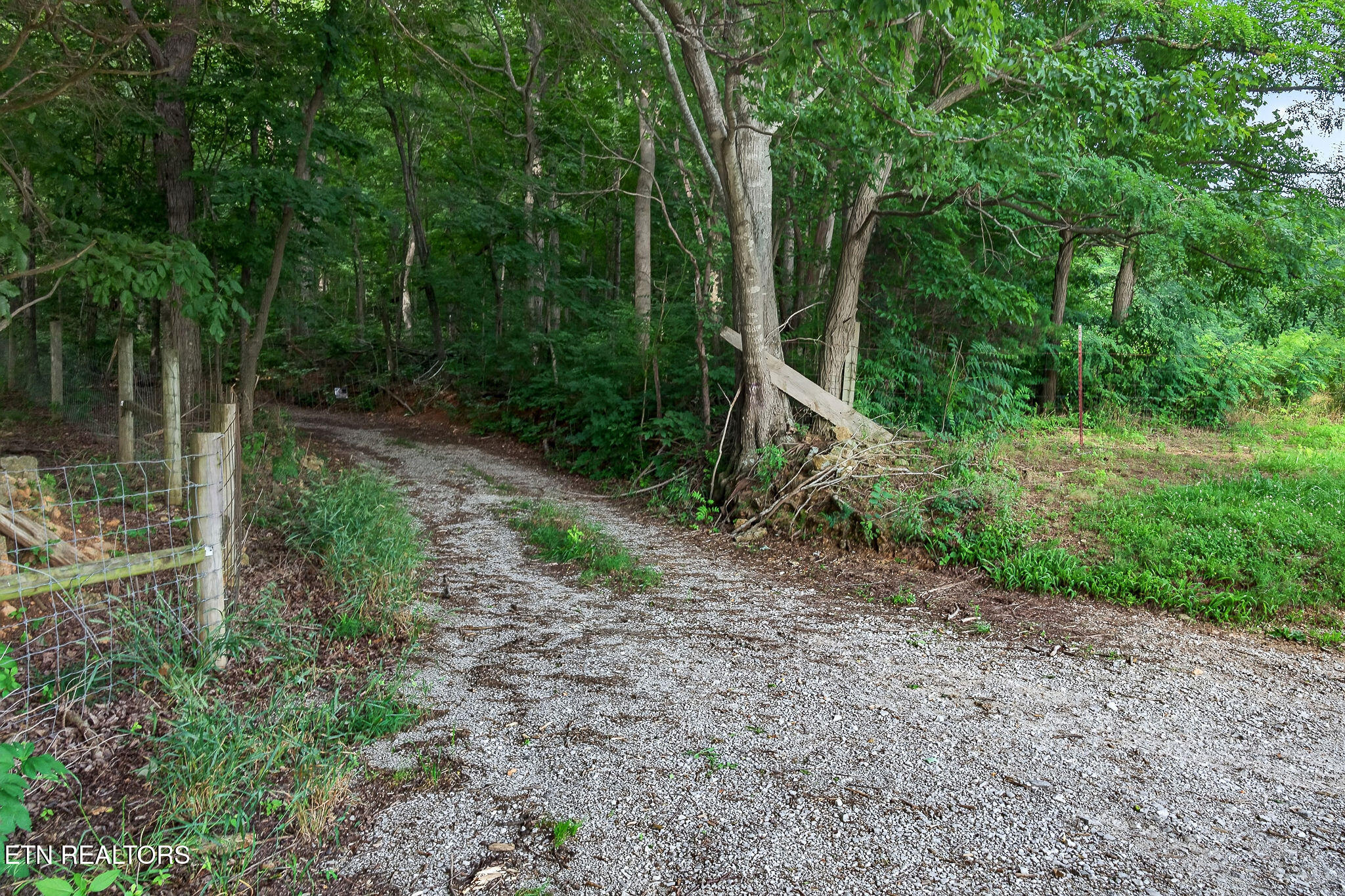 00 Moore Cove Road Quebeck TN 38579