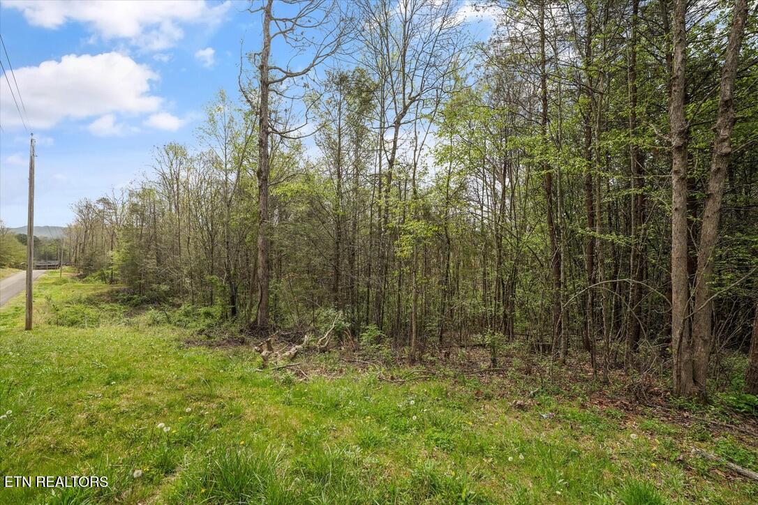 1433 Timber Trail Newport TN 37821