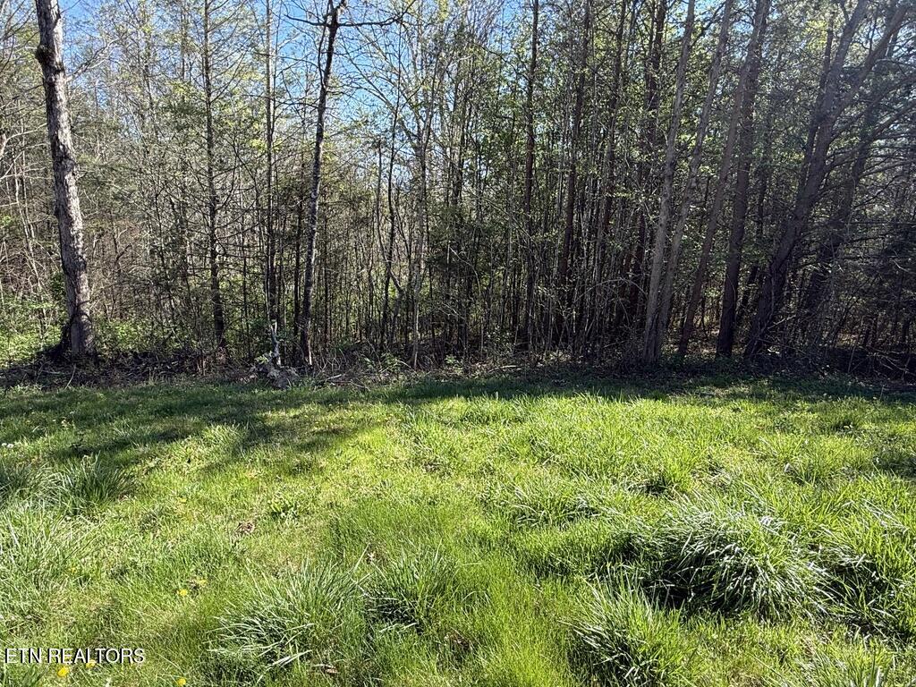 1433 Timber Trail Newport TN 37821